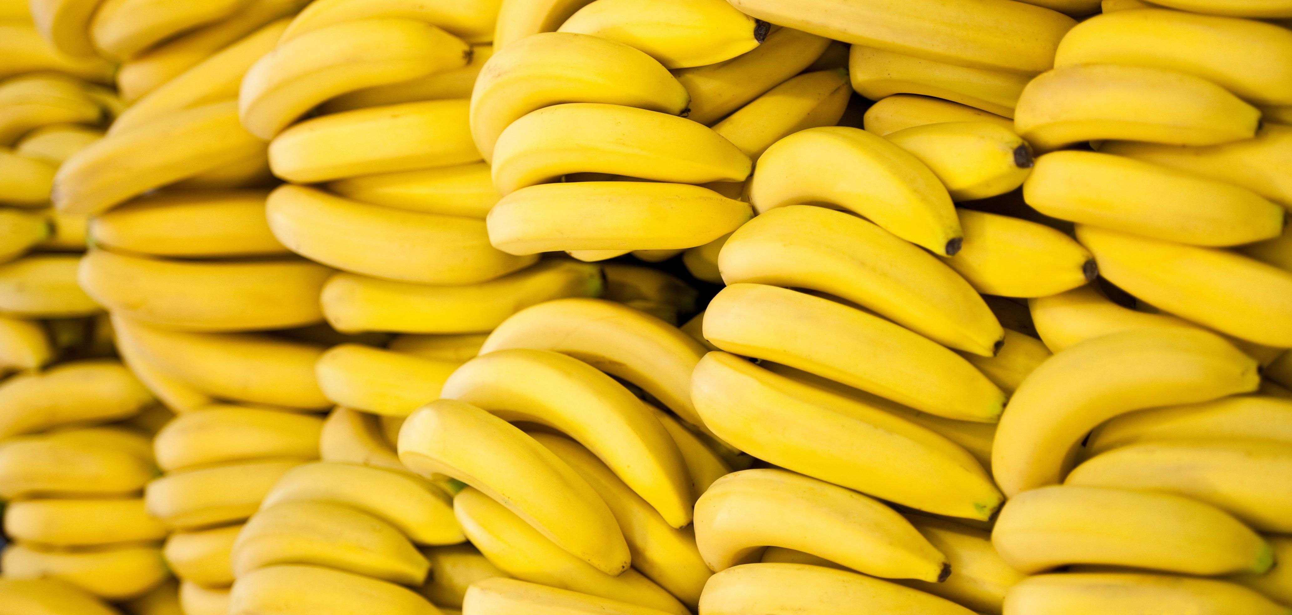 Bananas Wallpapers - Wallpaper Cave