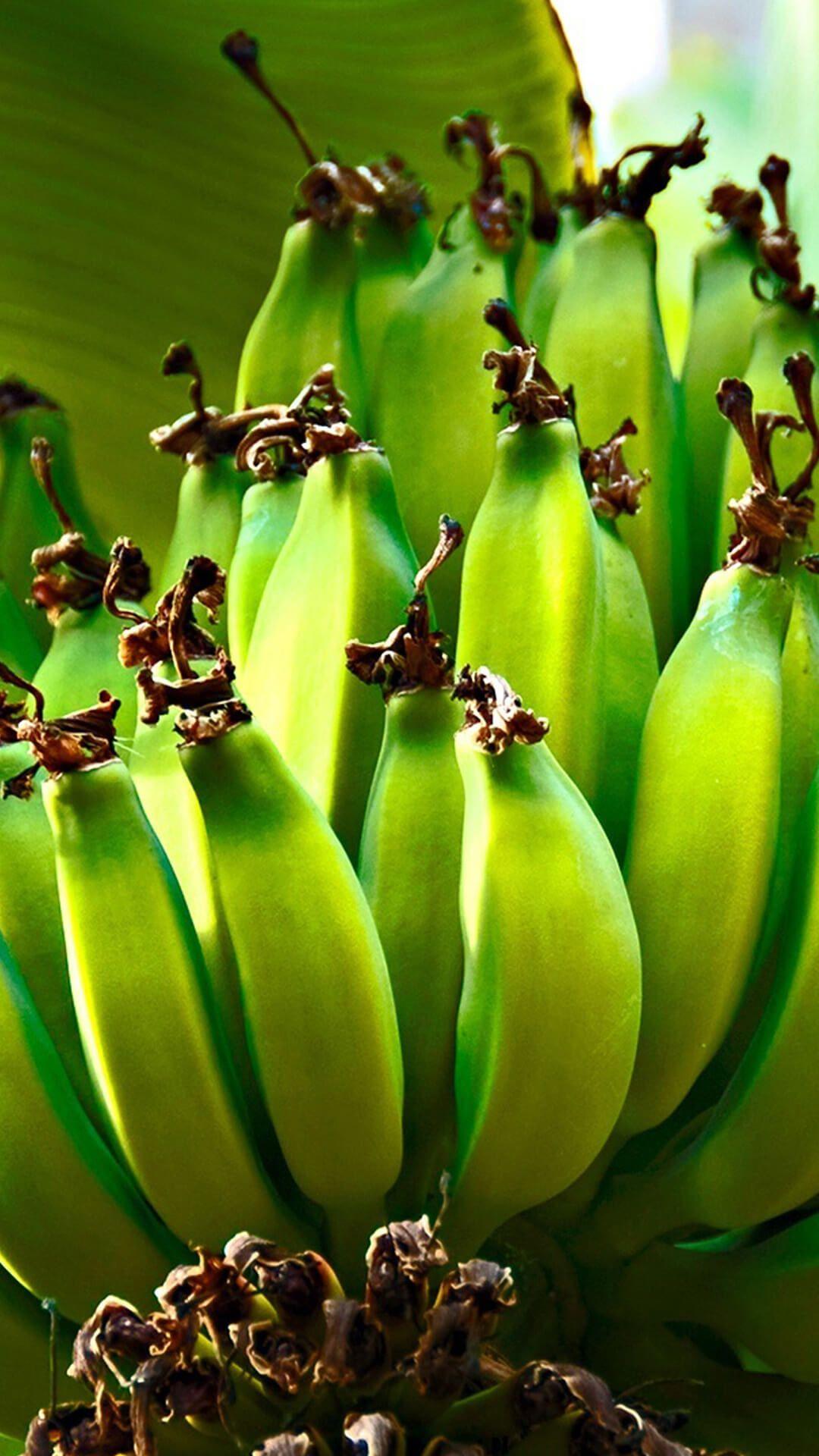 Green bananas iPhone Wallpaper Background Wallpaper HD