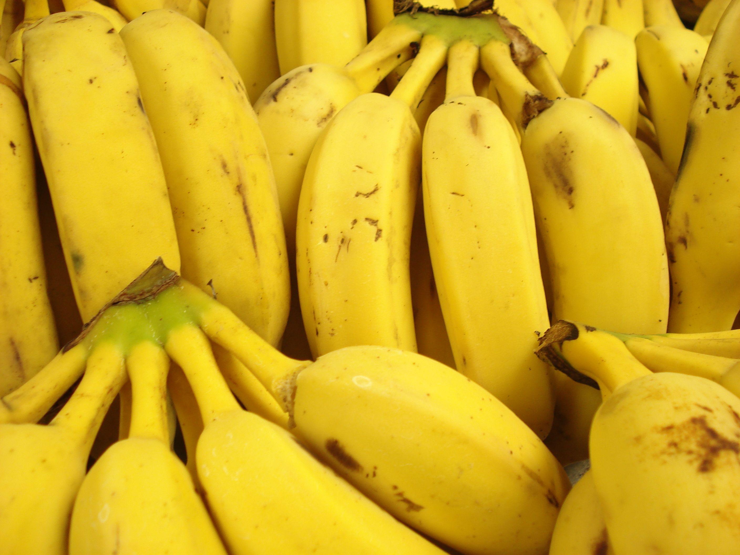 Download wallpaper: Fruits, Bananas, download photo, banana