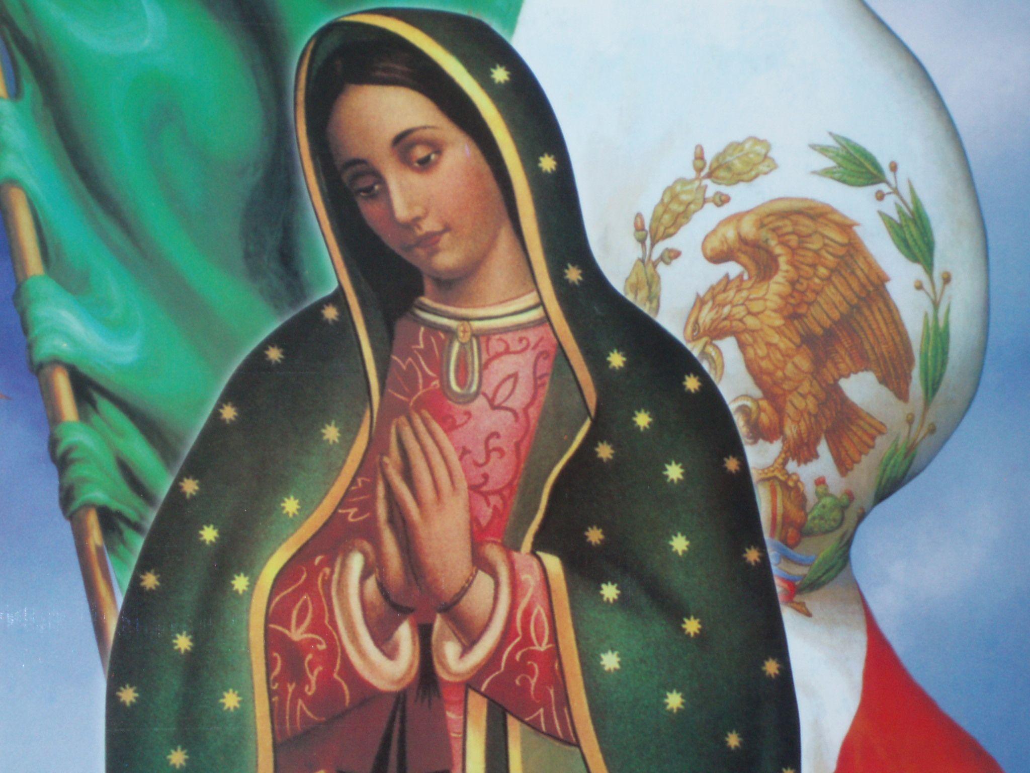 134 best Our Lady of Guadalupe