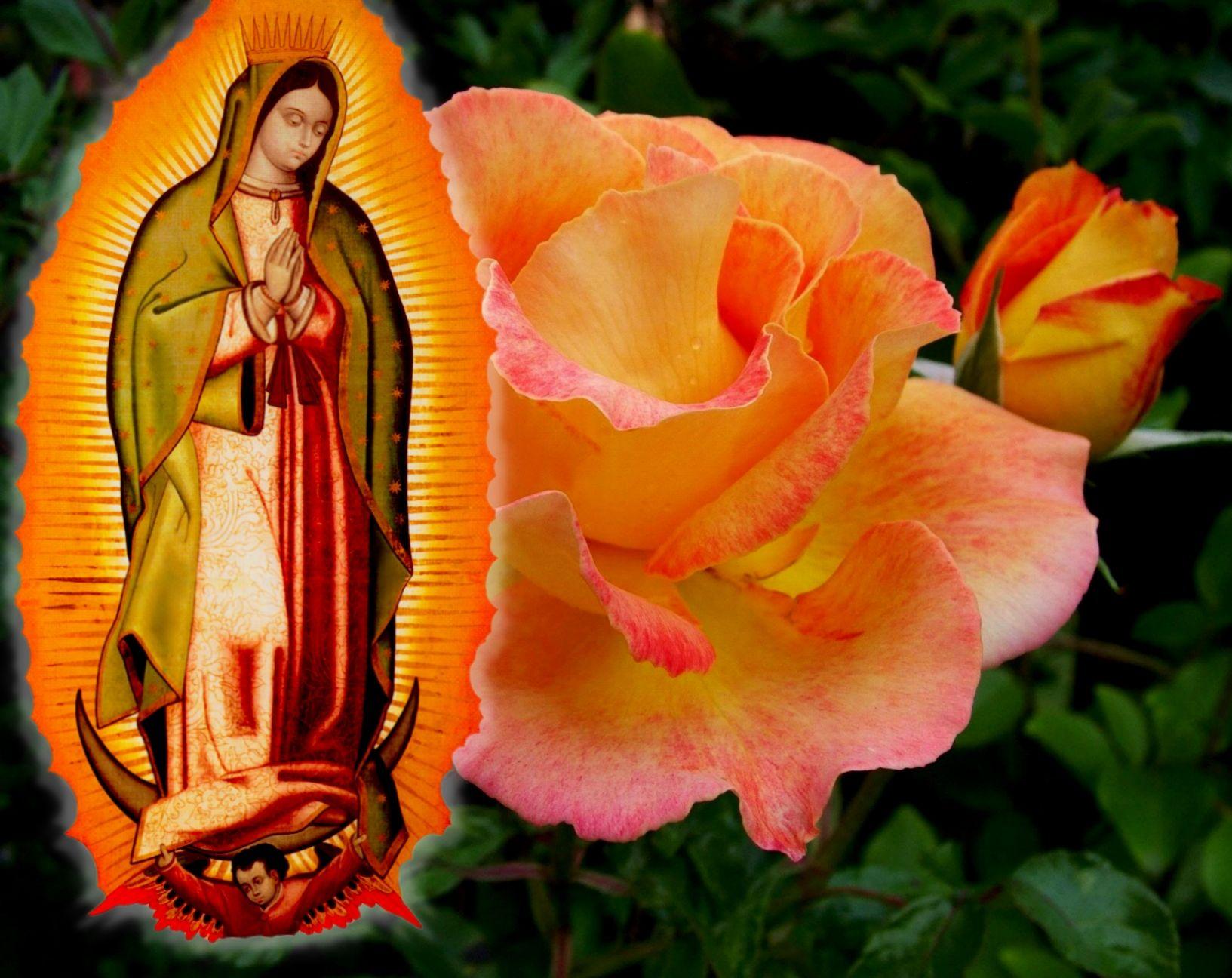 FEAST OF OUR LADY OF GUADALUPE WITH LITTLE GALLERY