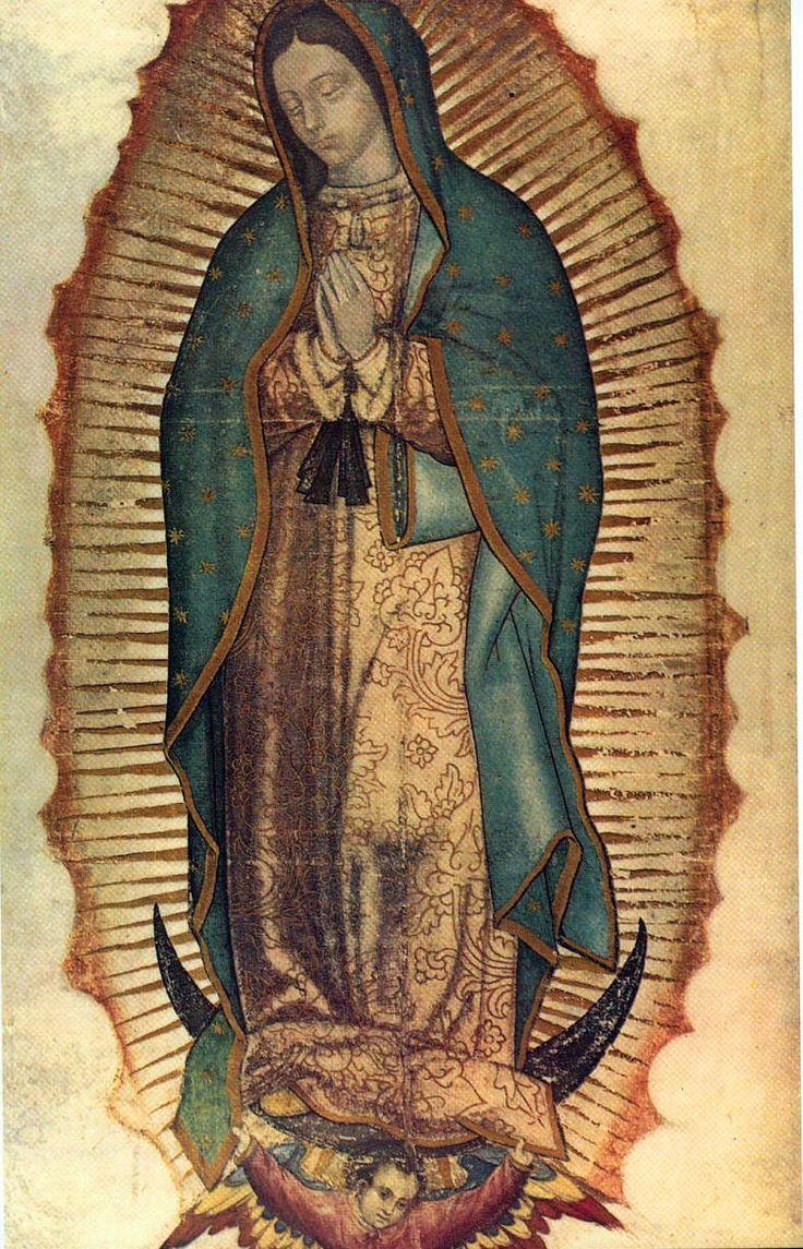 279 best Our Lady of Guadalupe image