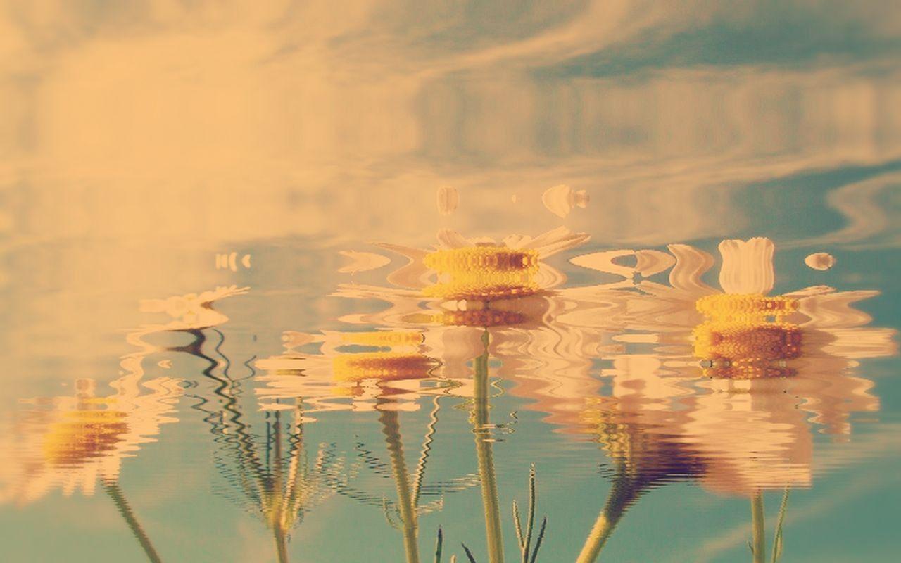 Ripple Wallpapers - Wallpaper Cave