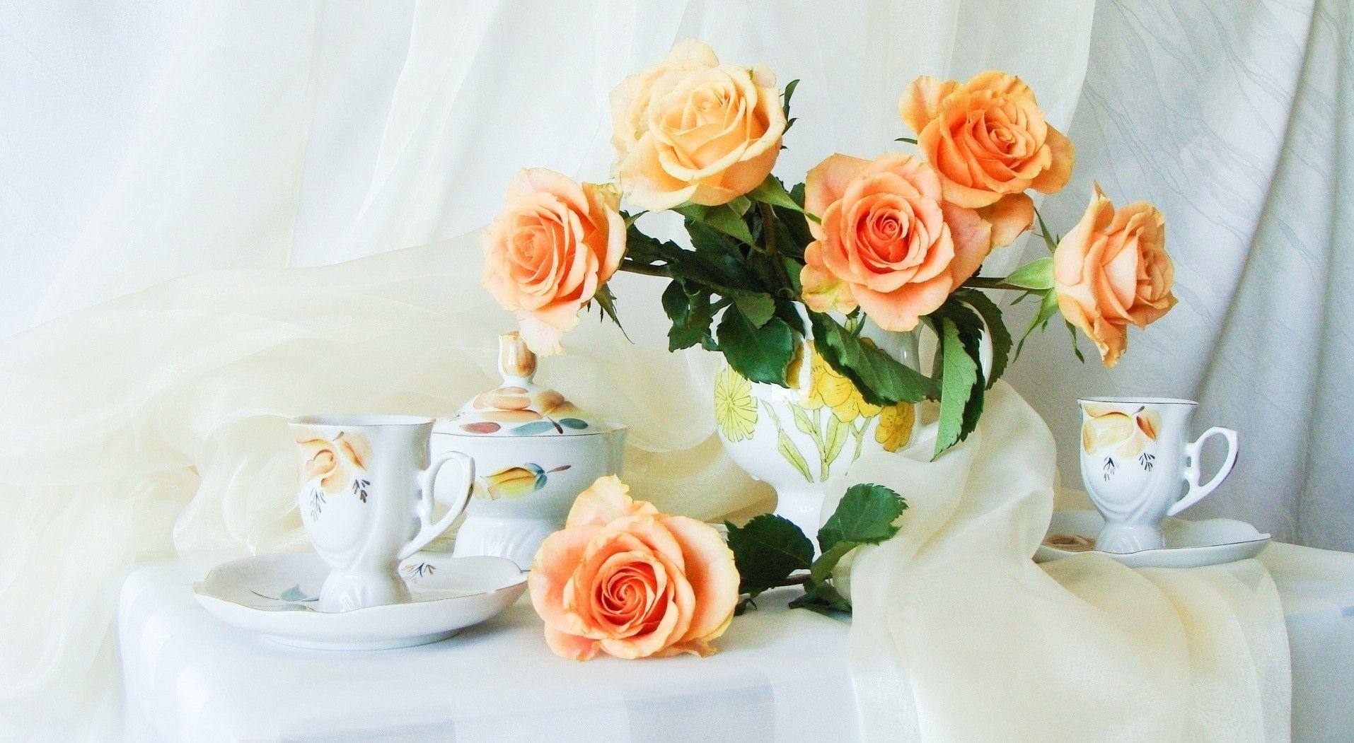 Flower Andonia Roses Delicate Soft Vase Flowers Time Tea Feminine