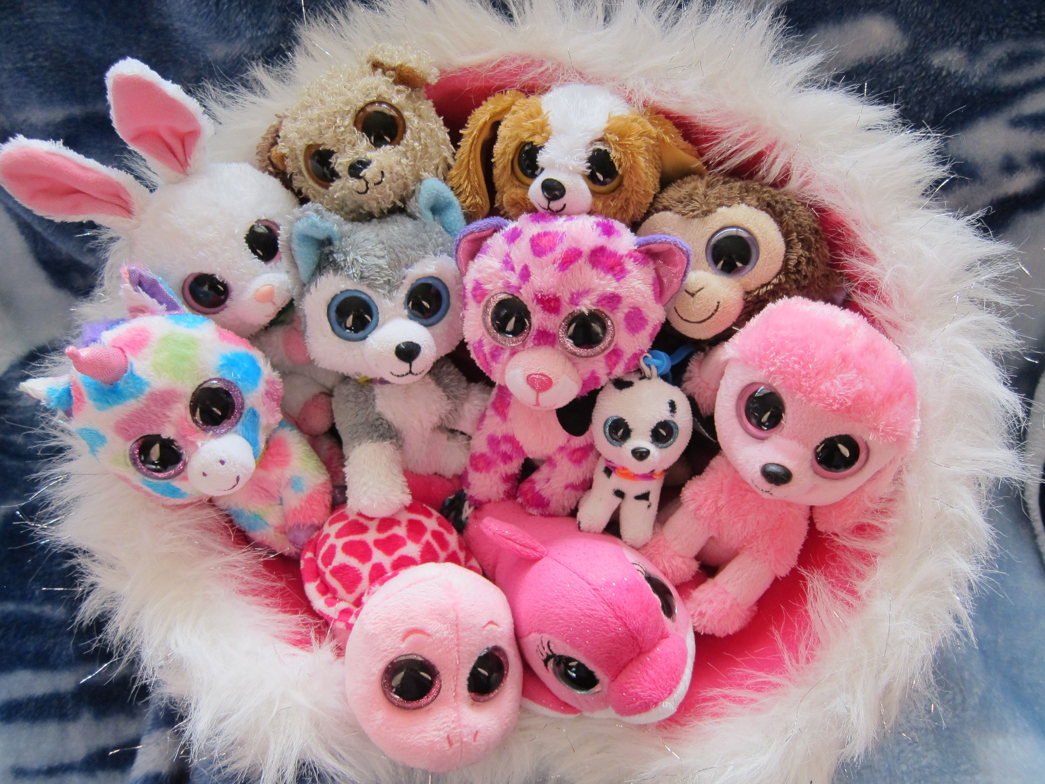 Beanie Boos HD Wallpaper and Background Image