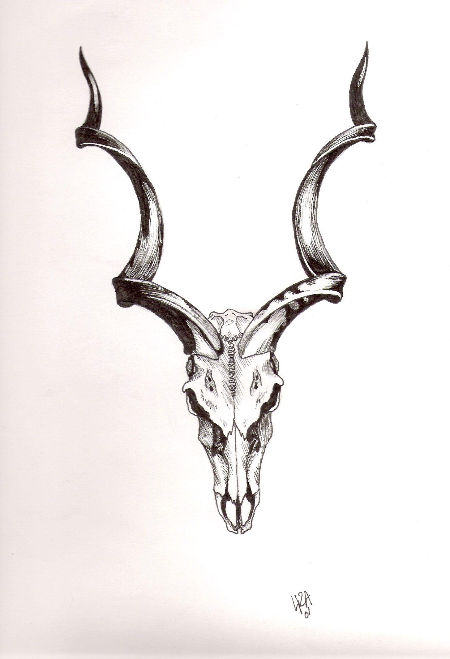 Traditional Tattoo Animal Skull Greater kudu skull