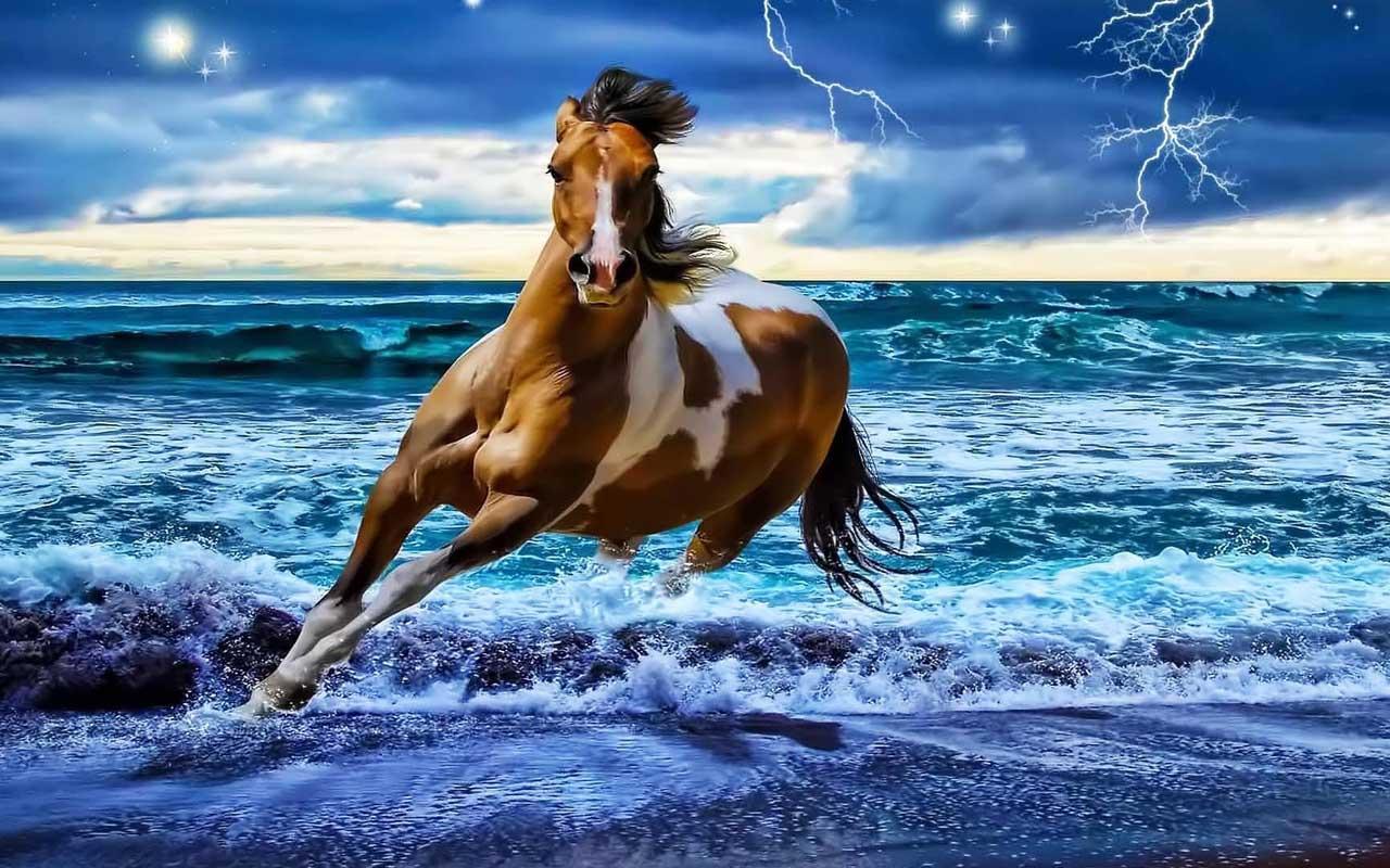 Horse Wallpaper Apps on Google Play