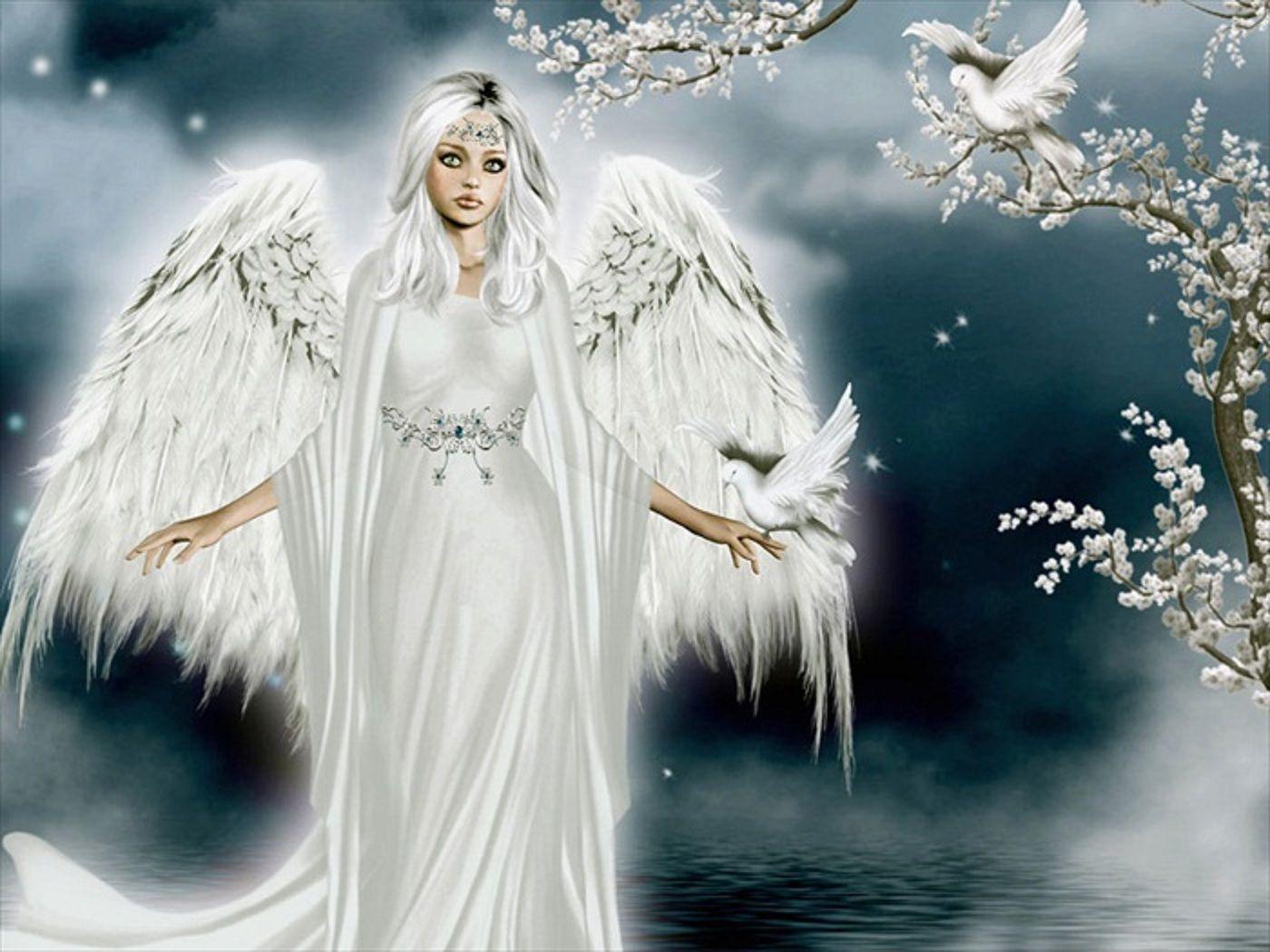 Beautiful Fairy Angel Wallpaper Desktop HD Wallpaper