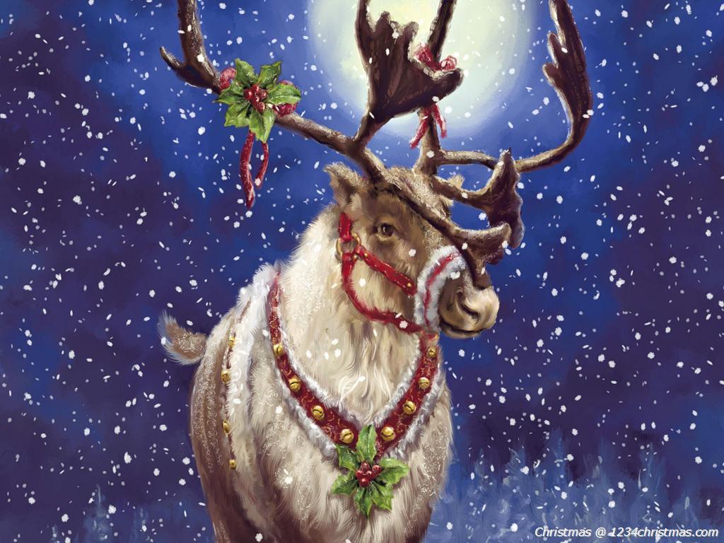 Photo Collection Christmas Reindeer Wallpaper