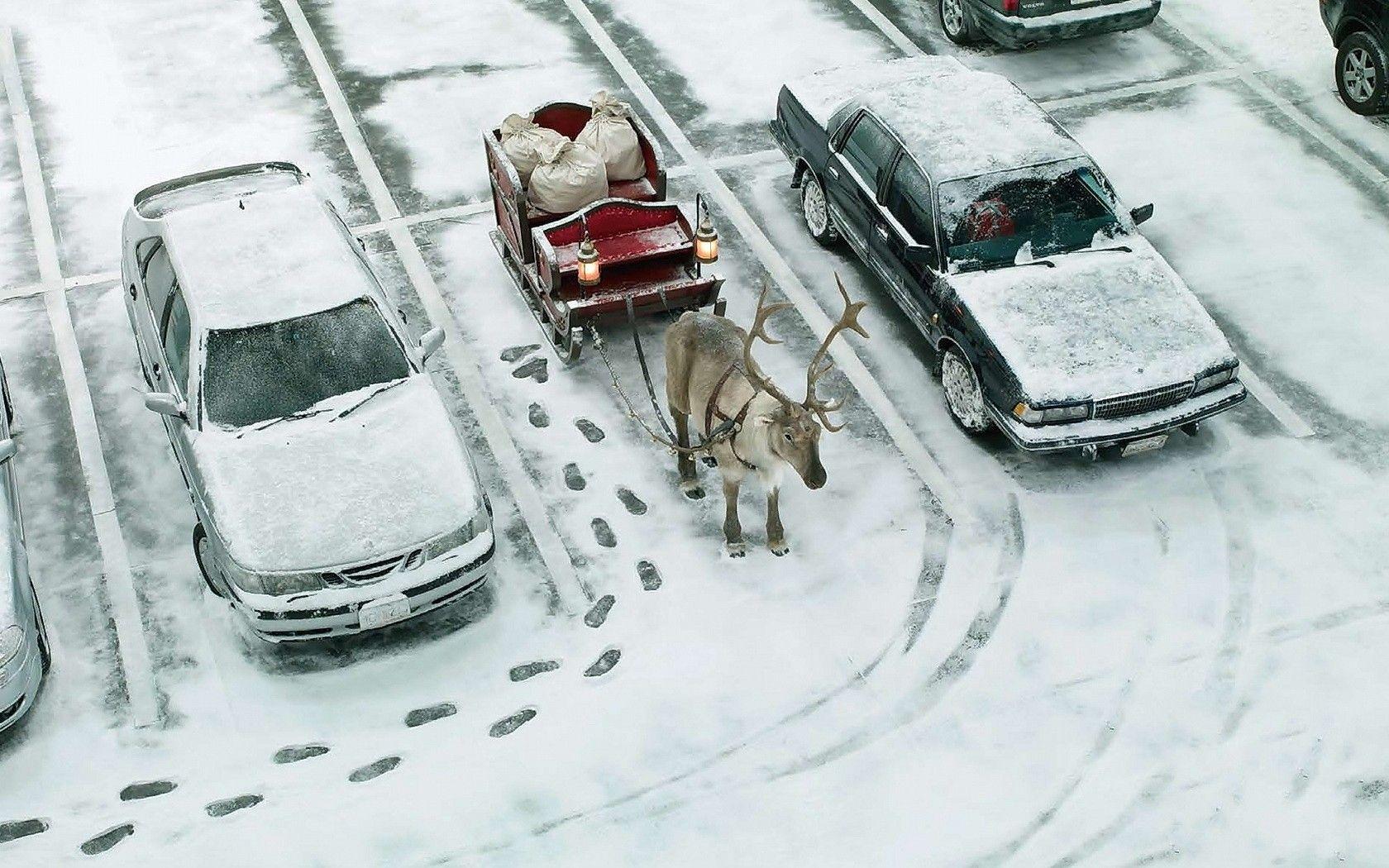 Other: Christmas Santas Parked Sleigh Winter Reindeer Santa