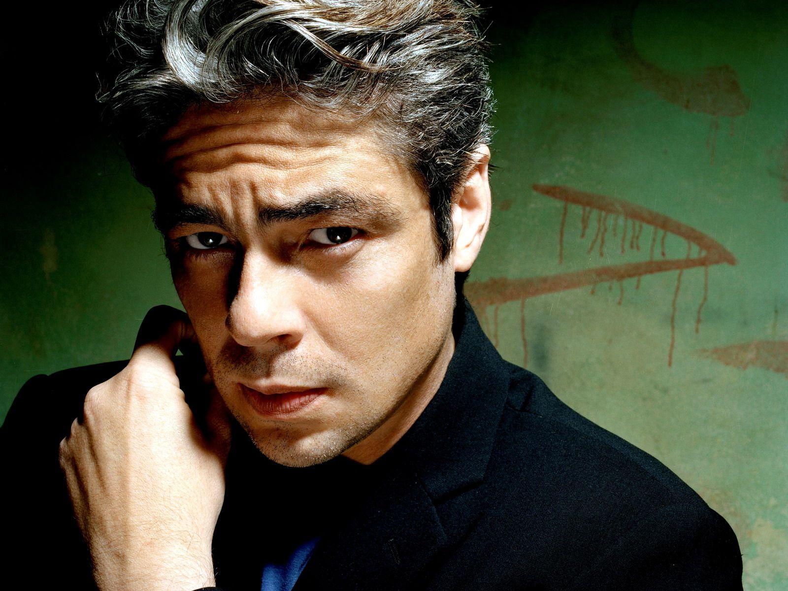 Top HD Benicio Del Toro Wallpaper. Celebrities HD.71 KB