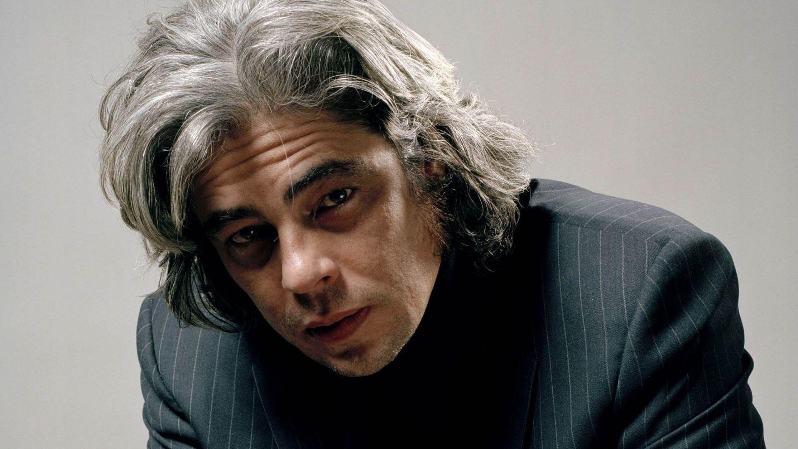 Download Wallpaper 2560x1440 Benicio Del Toro, Actor, Gray Haired