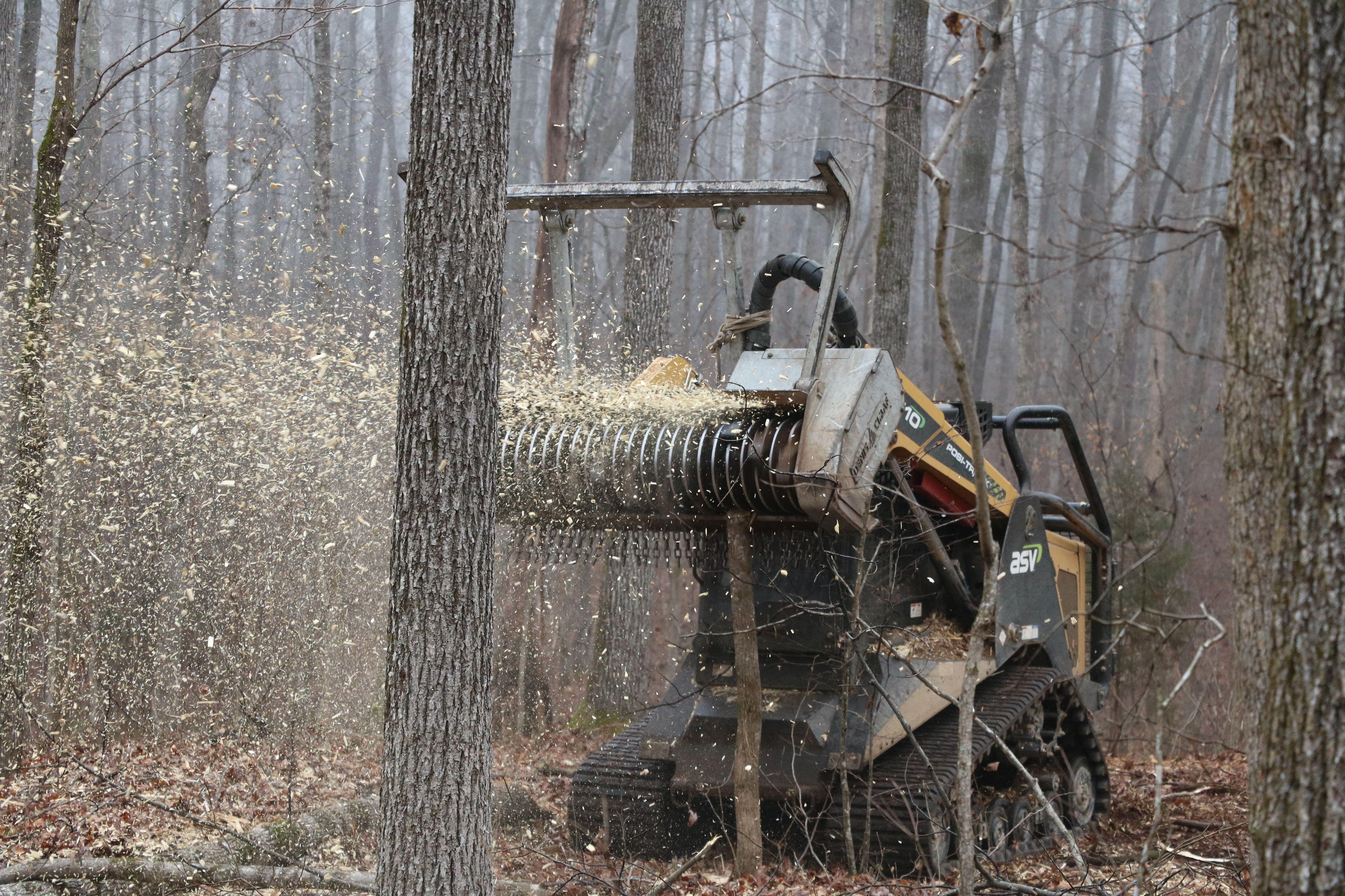 orange and black tree shredder free image