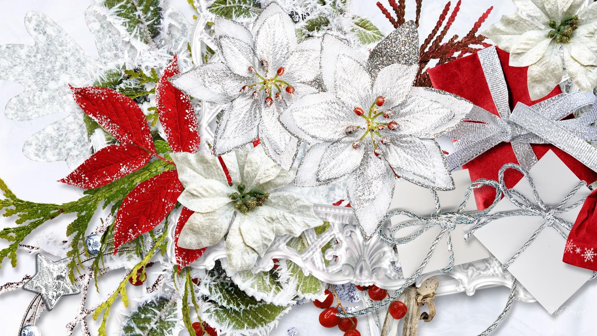 Christmas Flowers Wallpapers – Happy Holidays!