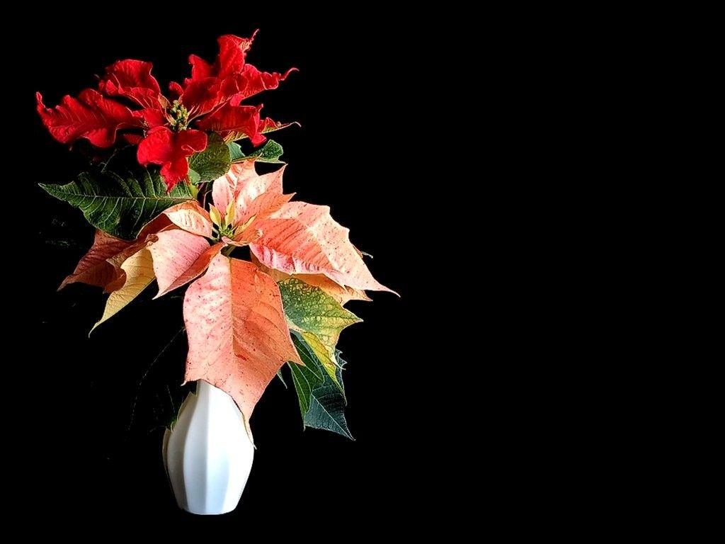 Flower: Ornament Bouquet Holiday Wreath Flower Christmas