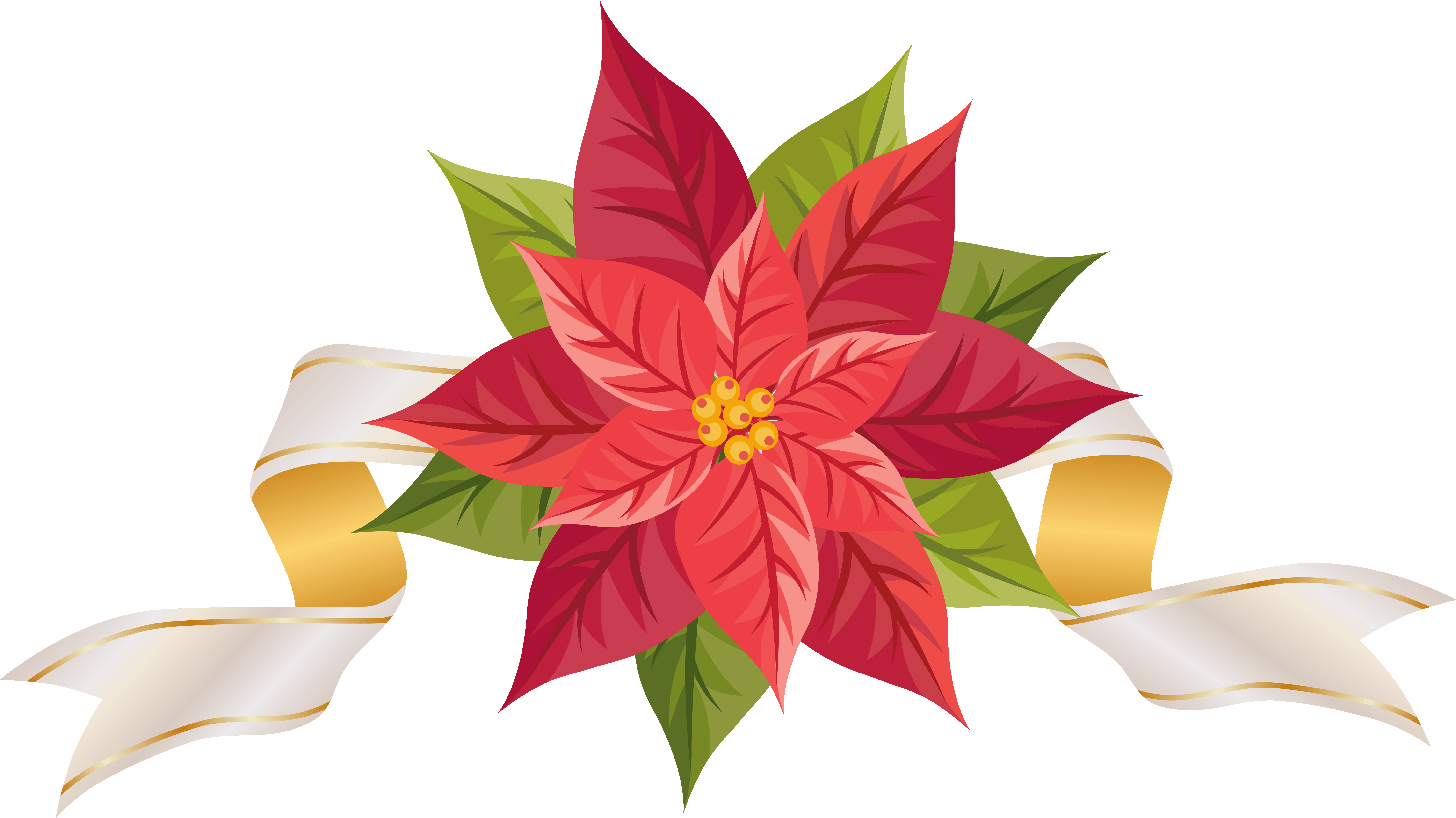 Poinsettia with Ribbon PNG Clipart Image