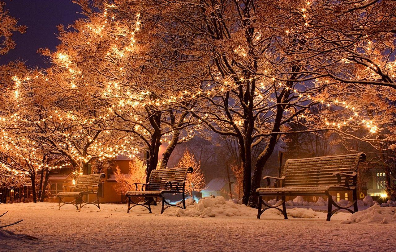 Pictures Christmas Nature Winter Snow Parks Bench night time Fairy