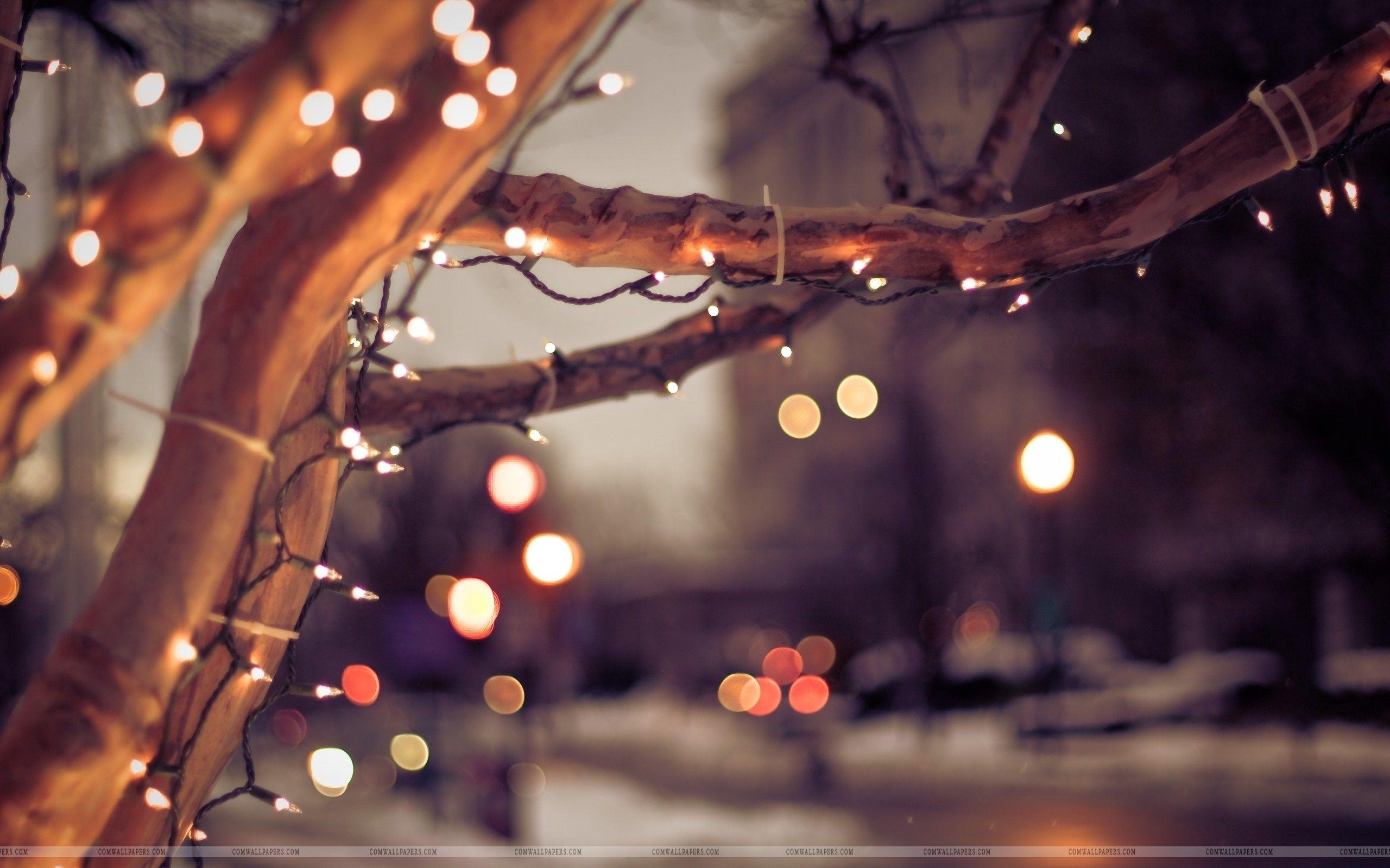 Winter Tree Lights Christmas Wallpapers