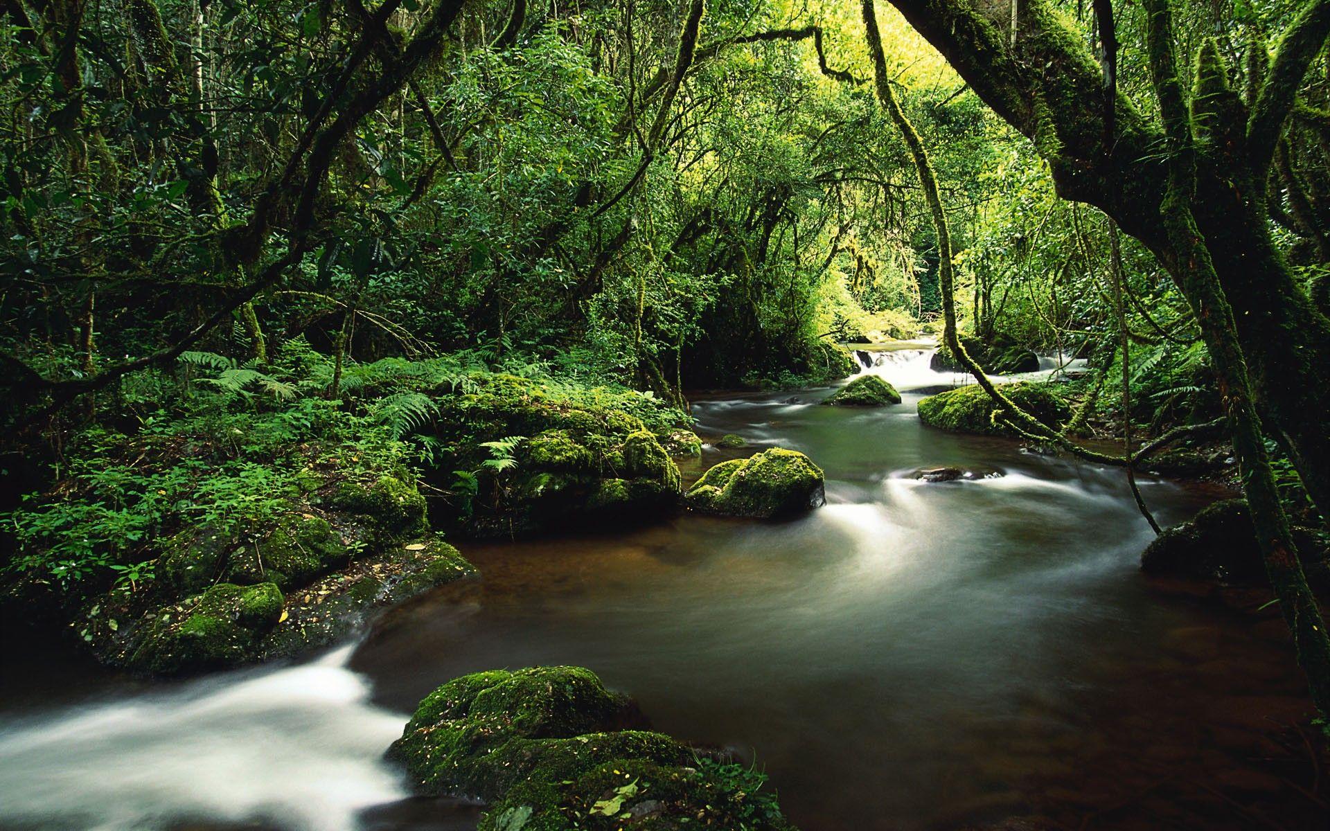 Waterfall in Costa Rica Rainforest Wallpaper Rivers Nature 63