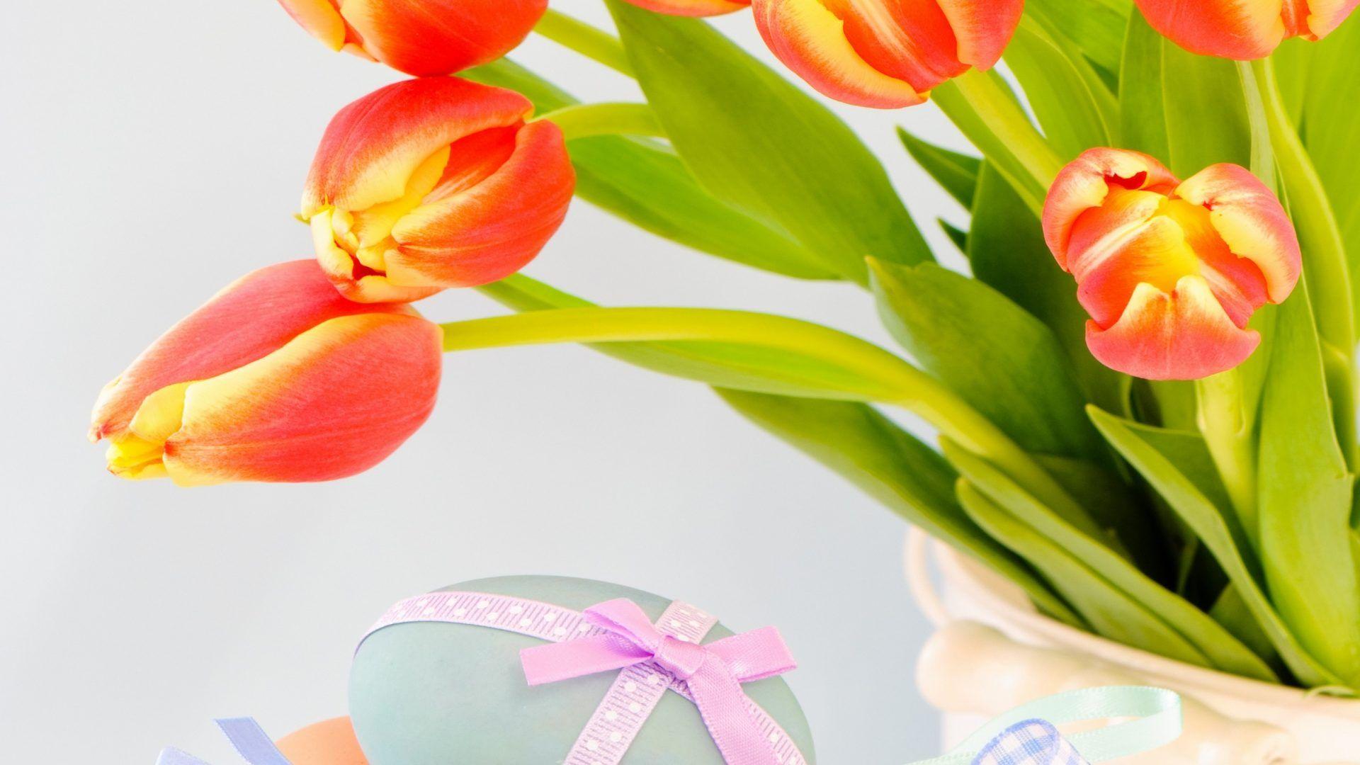 Tulip Tag wallpaper: Easter Egg Colorful Photography Bow Eggs