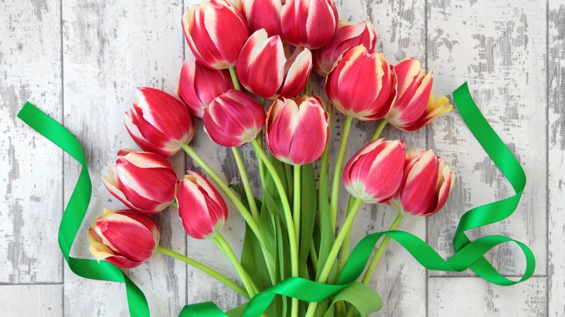 Flowers wallpaper: Wildflowers Beautiful Picture Of