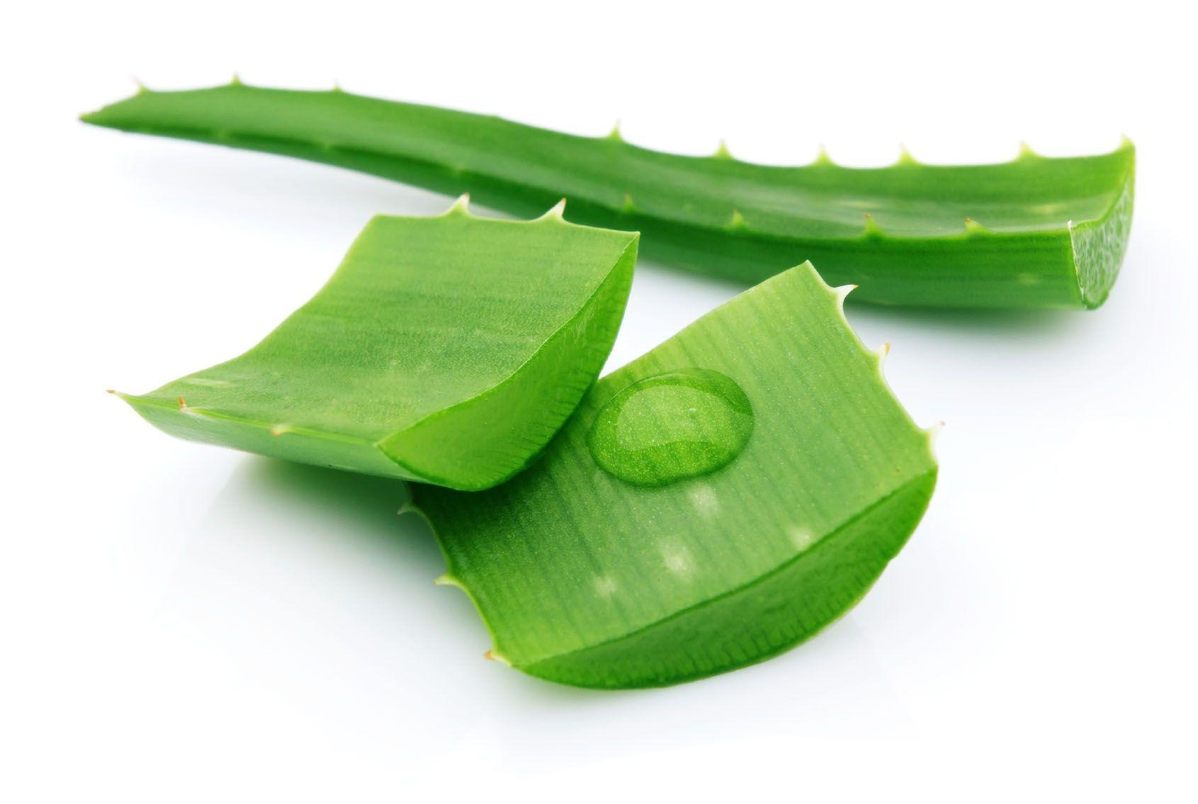 87123712aloevera During