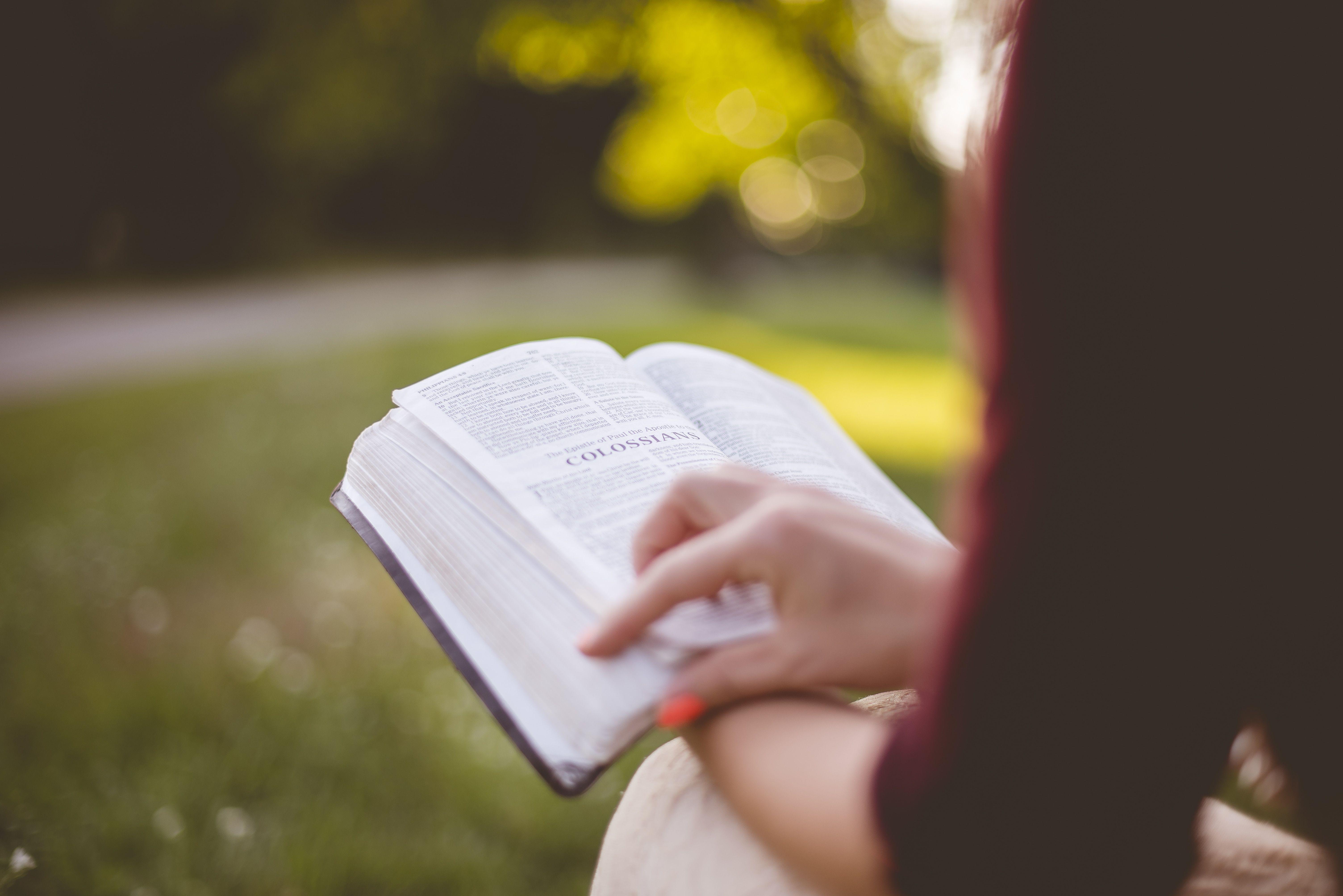 woman reading bible shallow focus photography free image