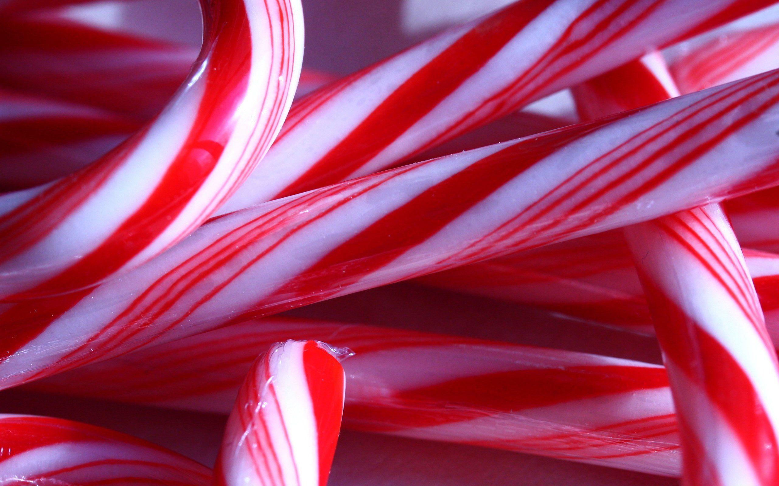 Candy Cane Up Close Wallpaper Backgrounds 52139 2560x1600 px