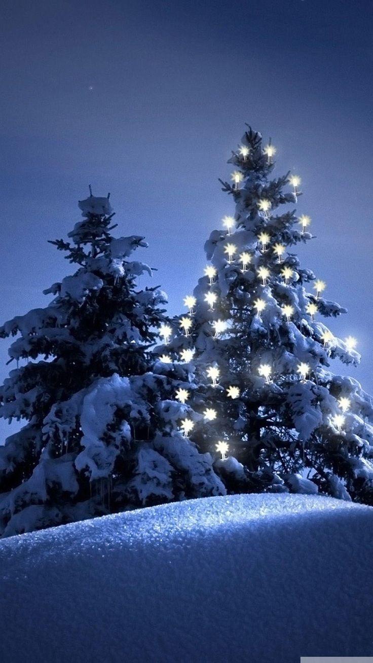 Snow Christmas Tree Winter IPhone 6 Wallpaper. Wallpaper Iphone Christmas, IPhone Wallpaper Winter, Christmas Wallpaper