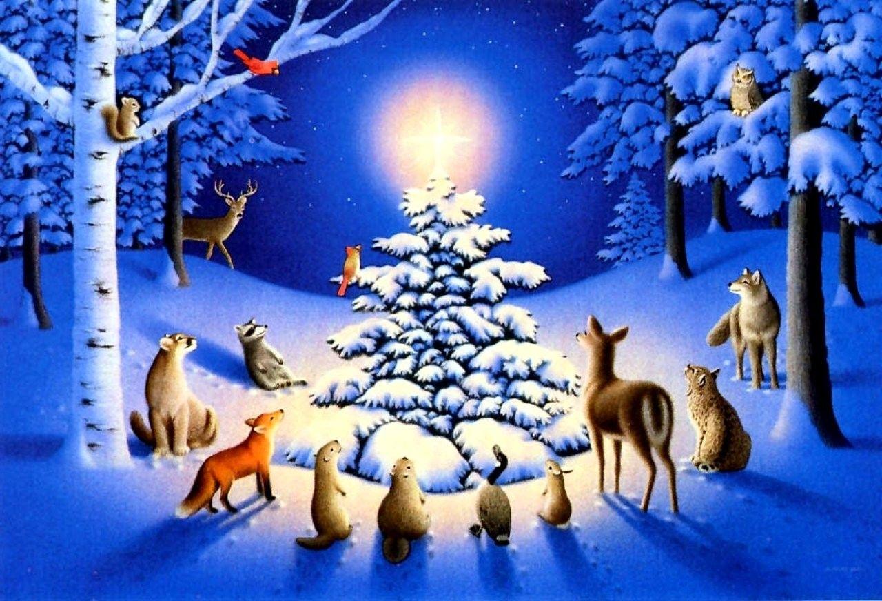 Forest Night Christmas Snow Stars Animals Sky Winter Trees Nature