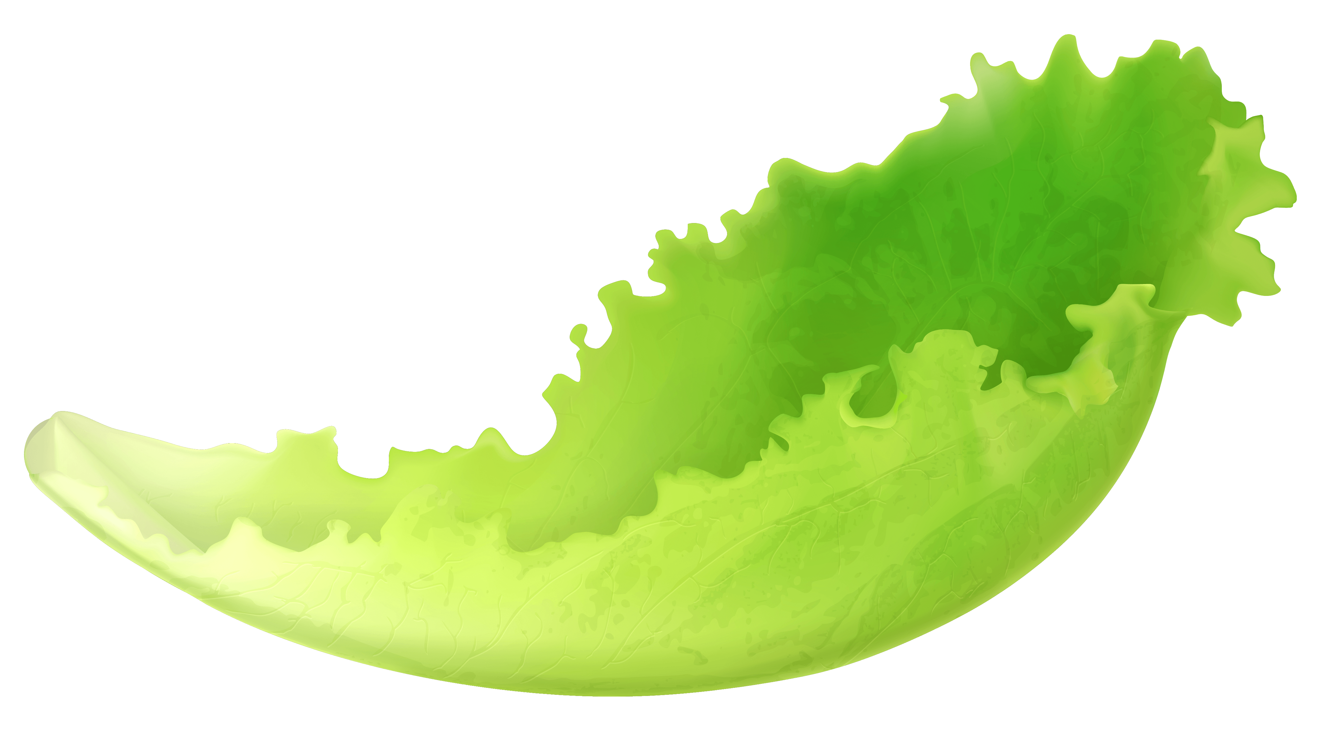 Romaine Lettuce Wallpapers - Wallpaper Cave