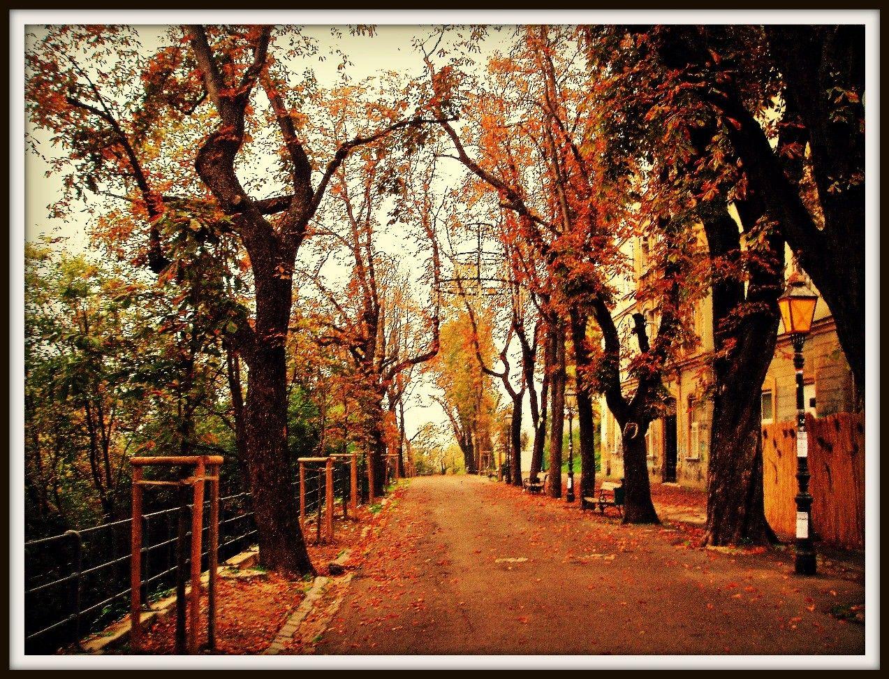 Other: Zagreb Autumn Path Street Croatia Golden Leaves Trees Dual