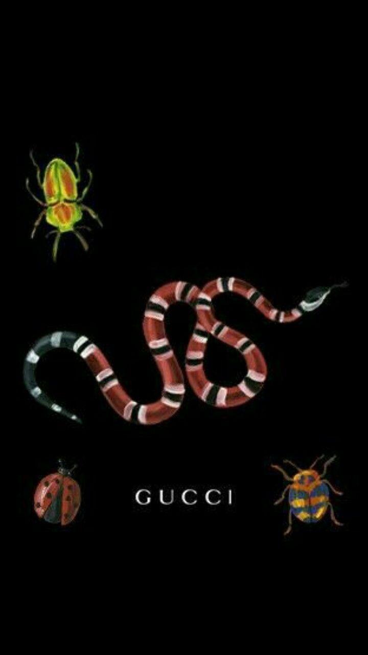 Gucci Snake Wallpapers - Wallpaper Cave