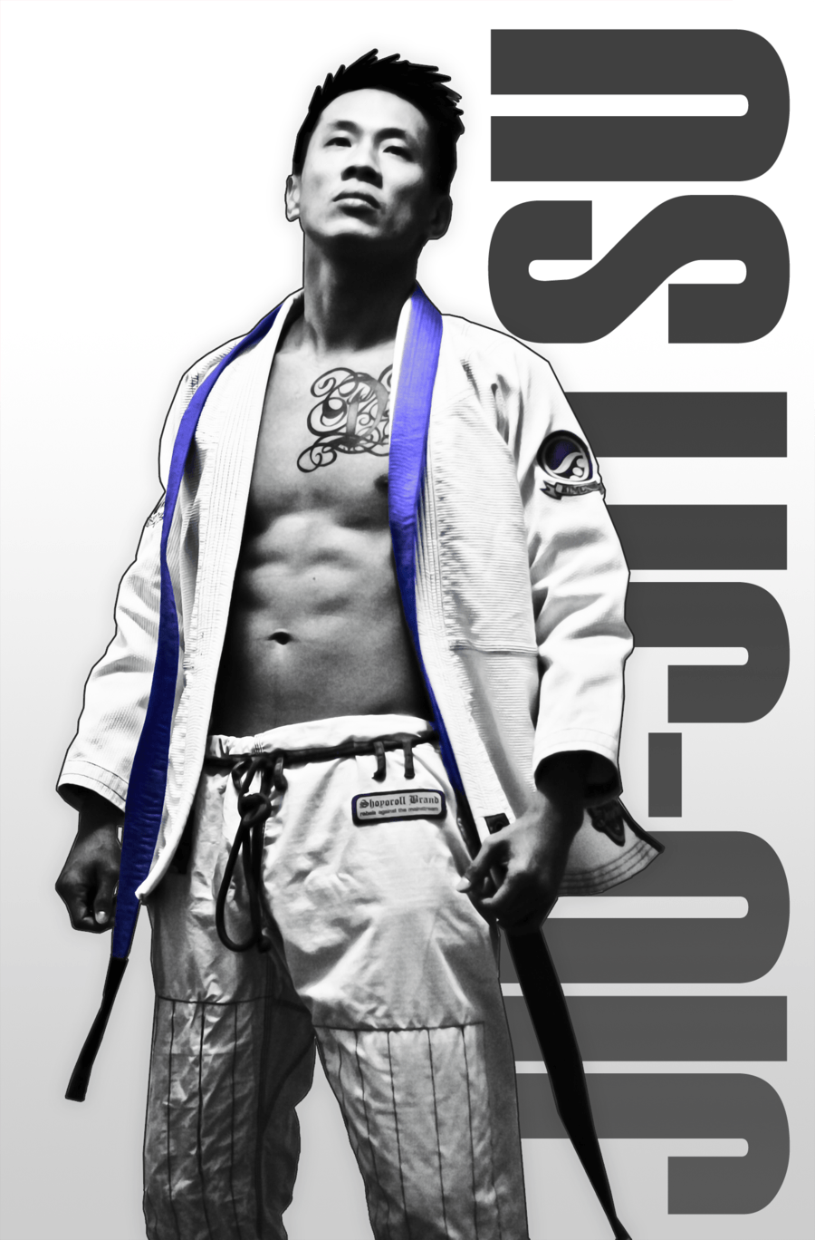 Jiu Jitsu Wallpapers HD Wallpaper Cave