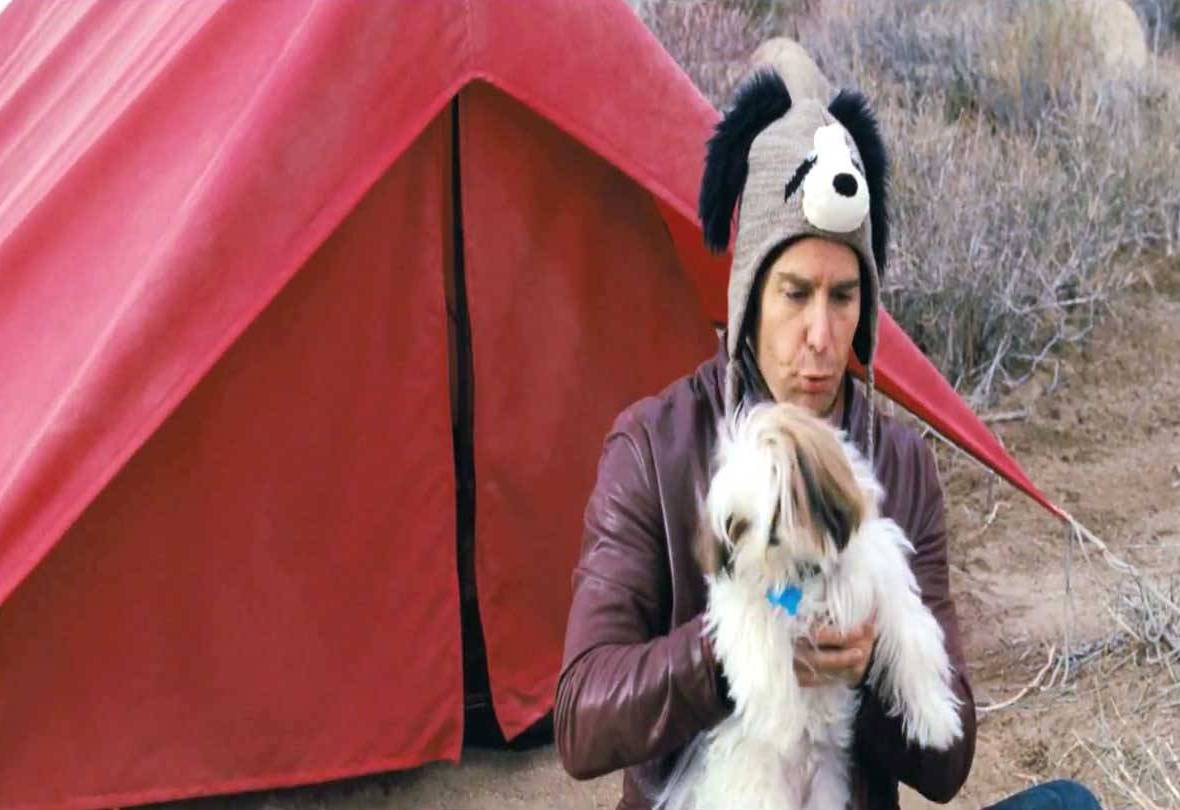 Sam Rockwell Wallpaper. Stunning Sam Rockwell Pics. W.Web