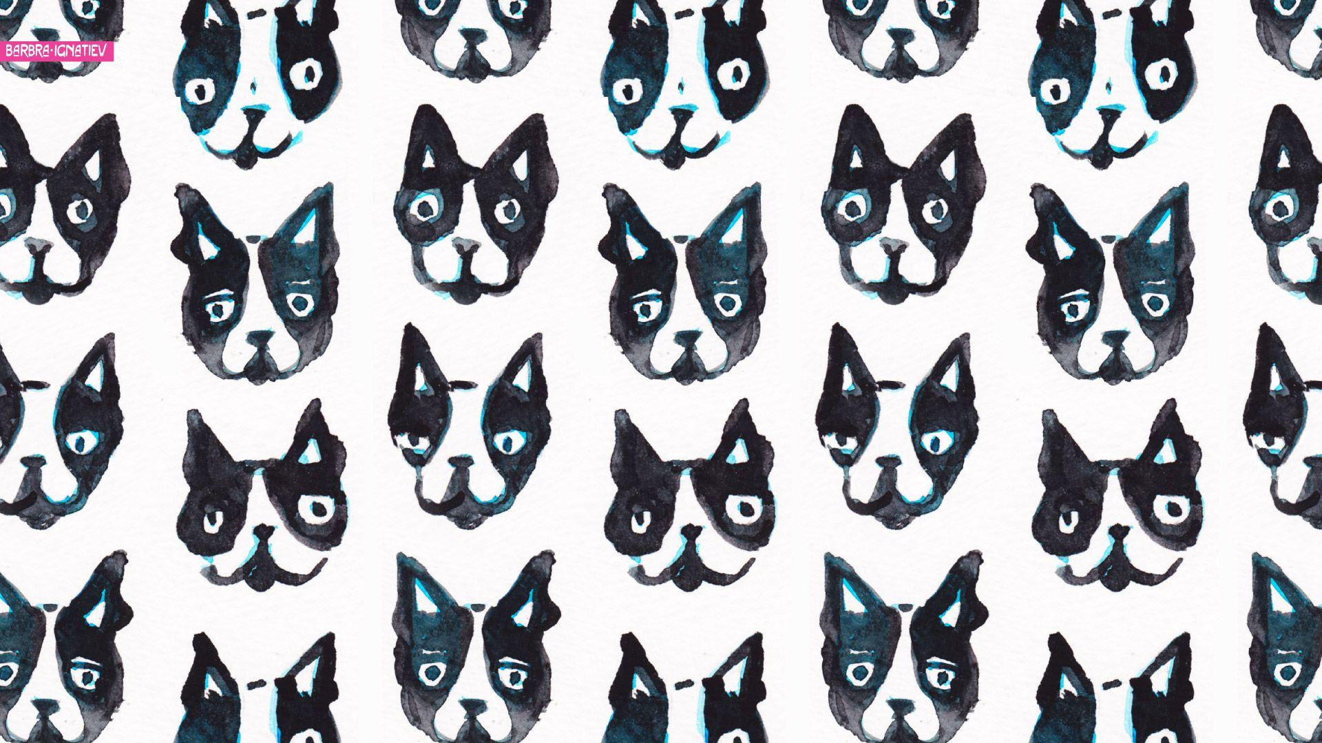 Boston Terrier Dogs Wallpapers - Wallpaper Cave