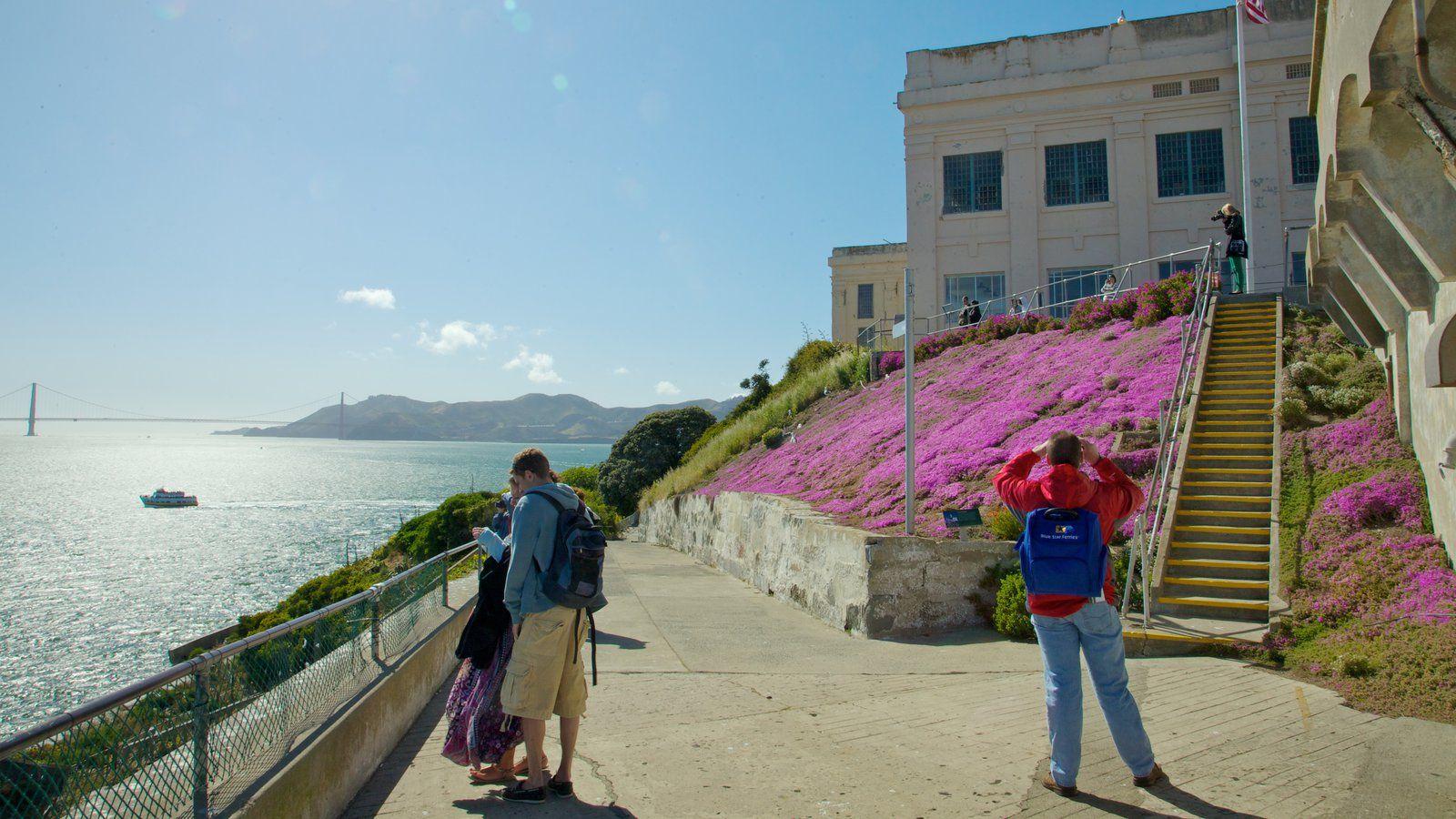 Flowers Picture: View Image of Alcatraz Island