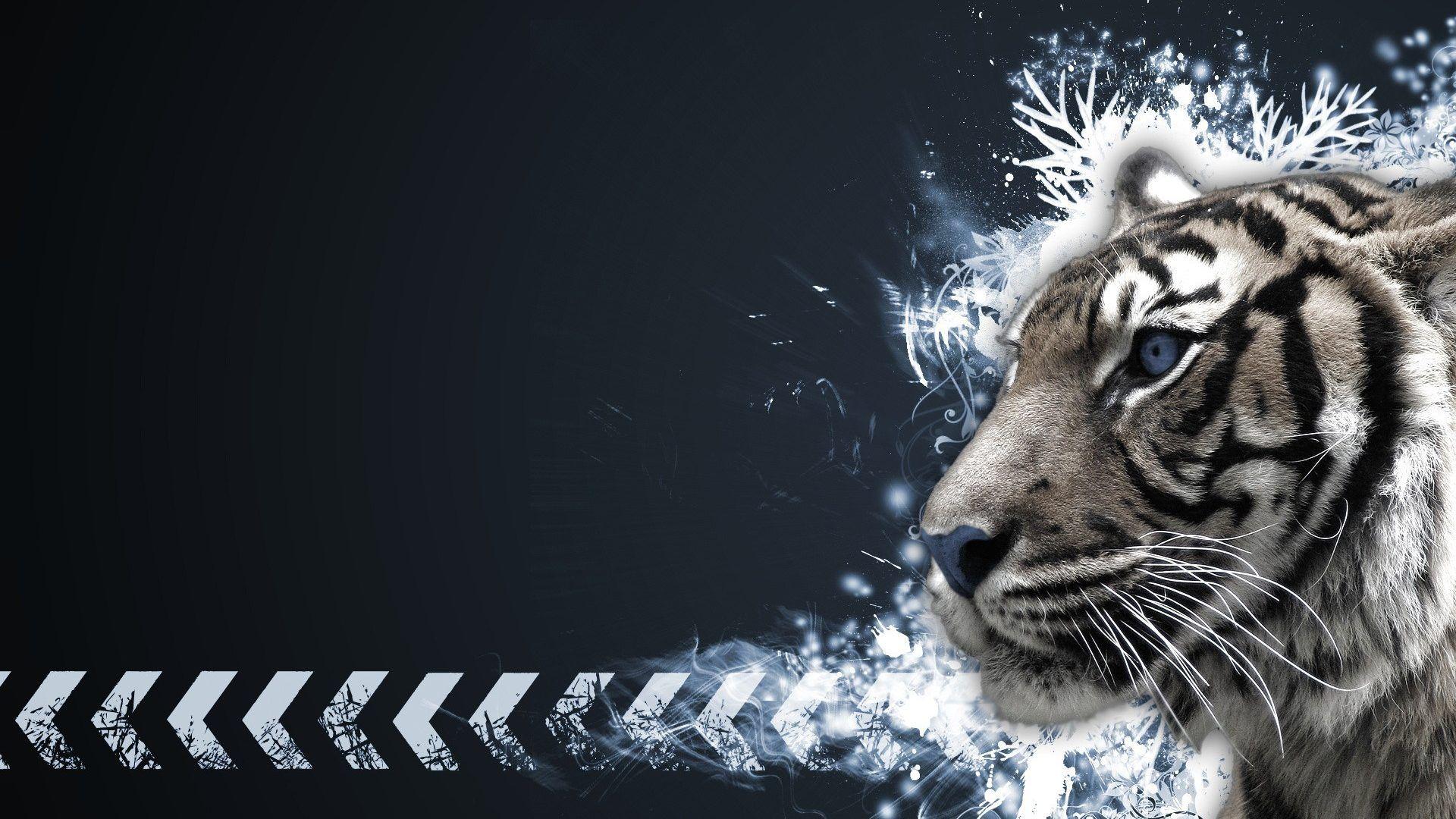 Tigers Tag wallpaper: Lions White Tigers Tiger Liger Cats