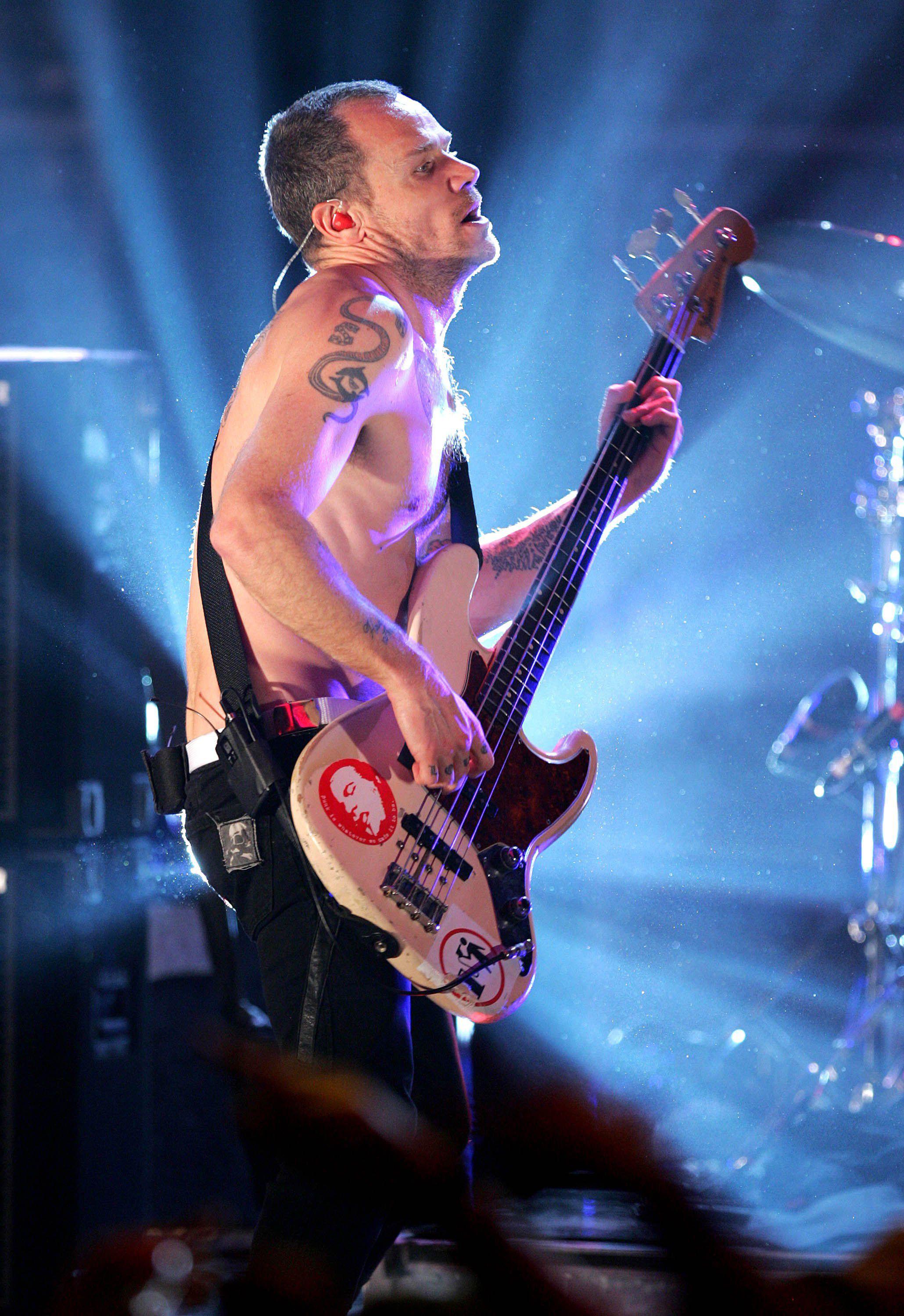 music bass guitars red hot chili peppers flea