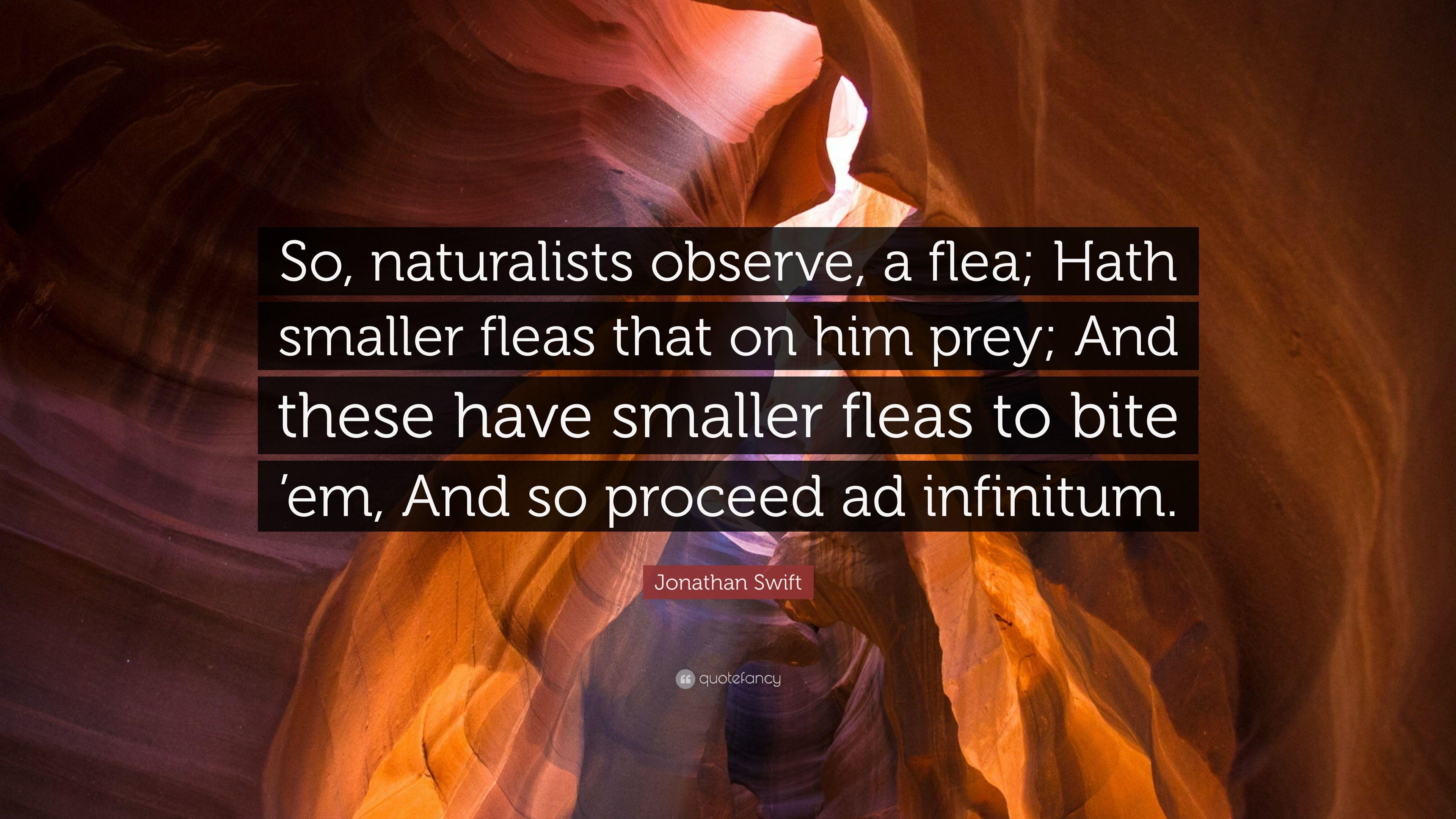 Jonathan Swift Quote: “So, naturalists observe, a flea; Hath