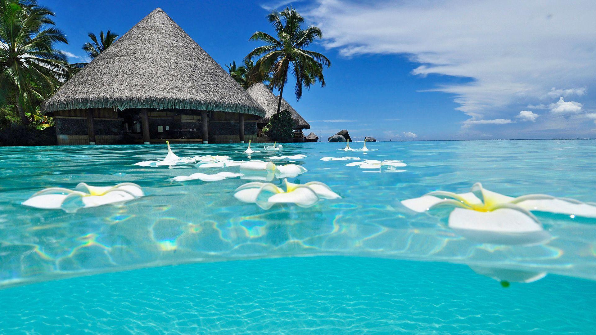 paradise beach summer wallpaper desktop wallpaper high definition