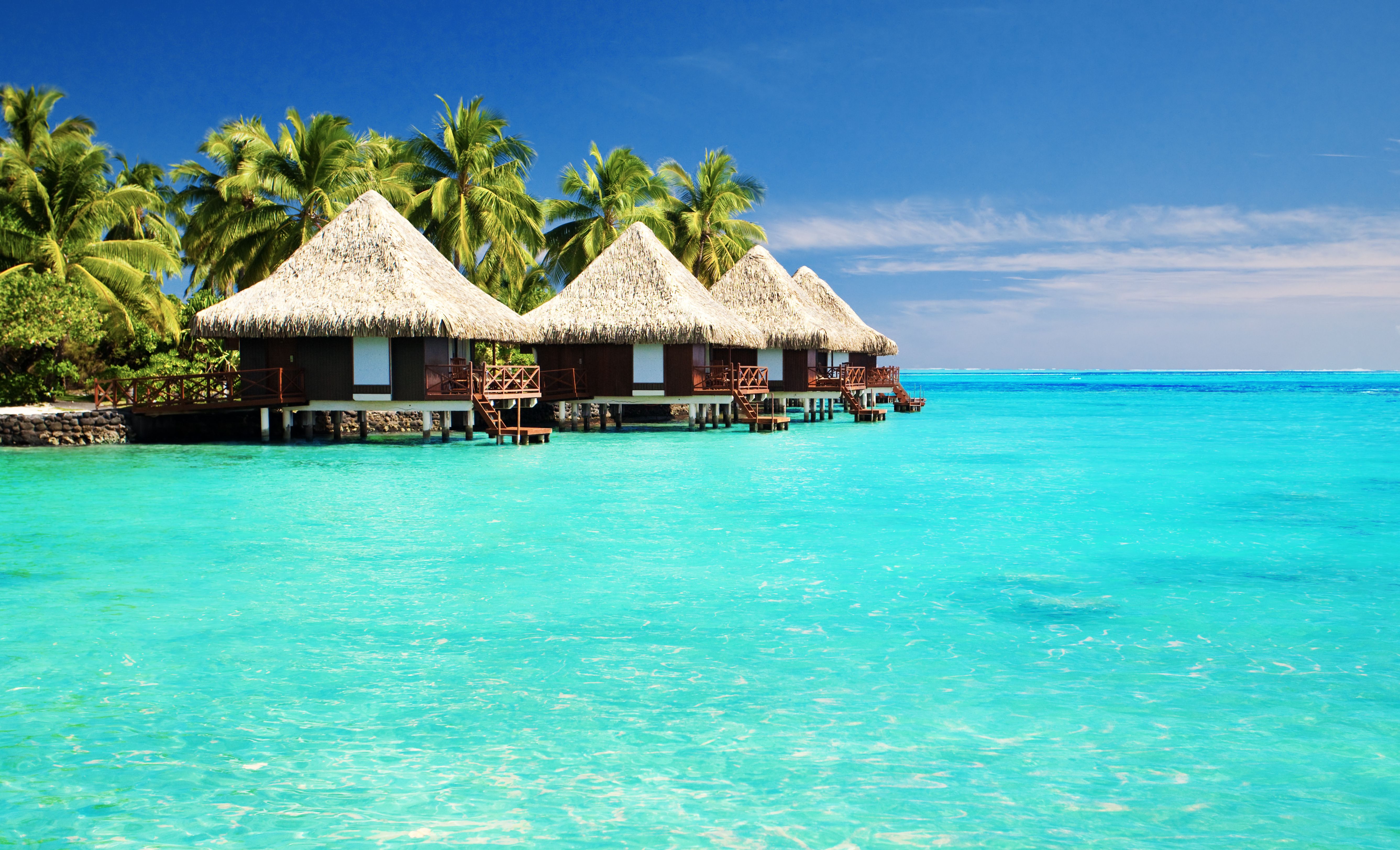 Tropical Paradise Desktop Background wallpaper HD free