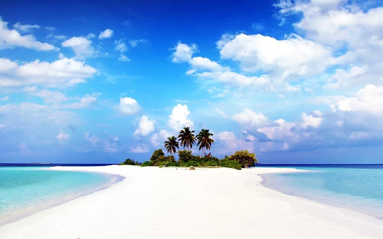 Paradise Live Wallpaper Apps on Google Play