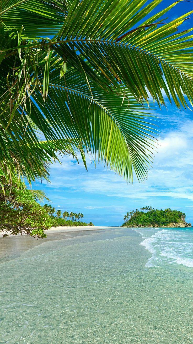 Beach phone wallpaper ideas. iPhone