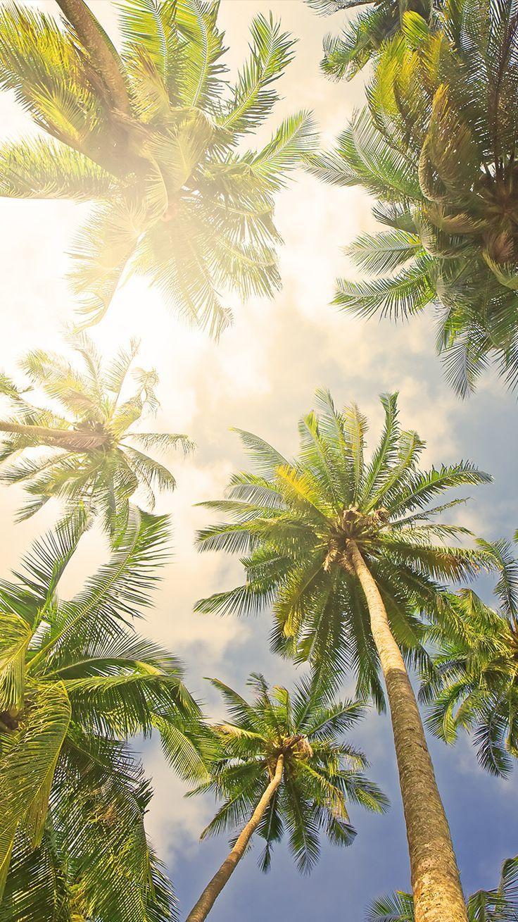 best wallpaper. image. Wallpaper, Walls and Book