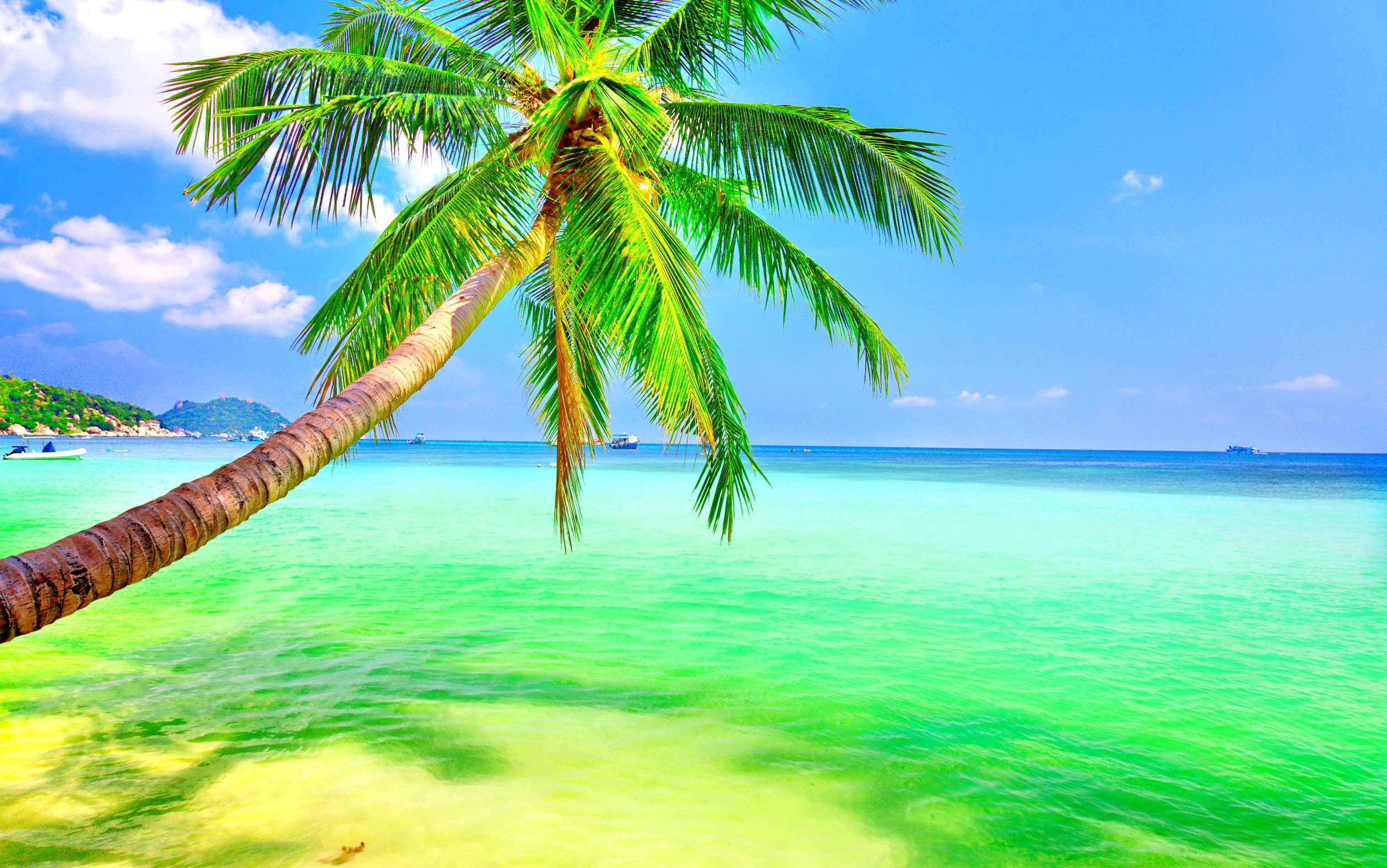 Tropical Paradise Desktop Background. Simply Wallpaper