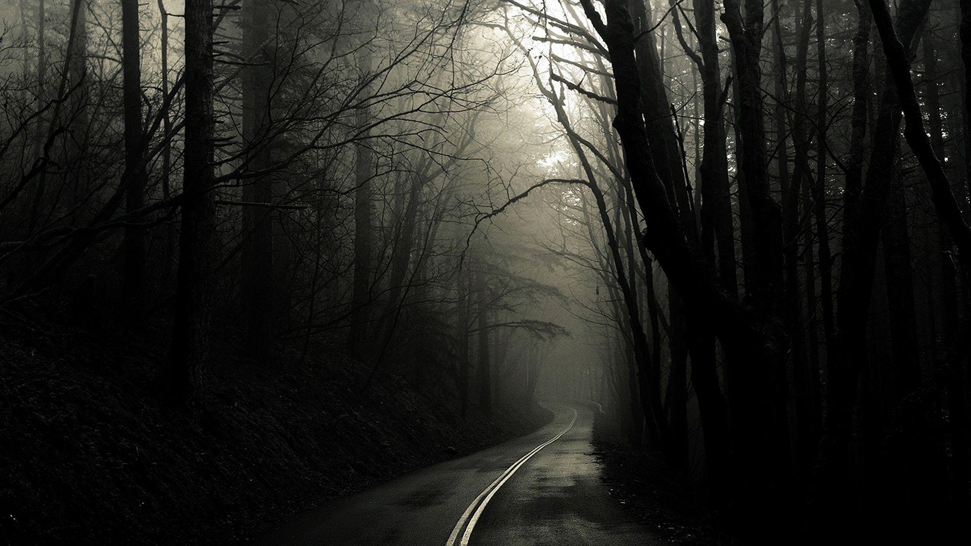 Spooky Forest Awesome Photo Spooky Forest Wallpaper