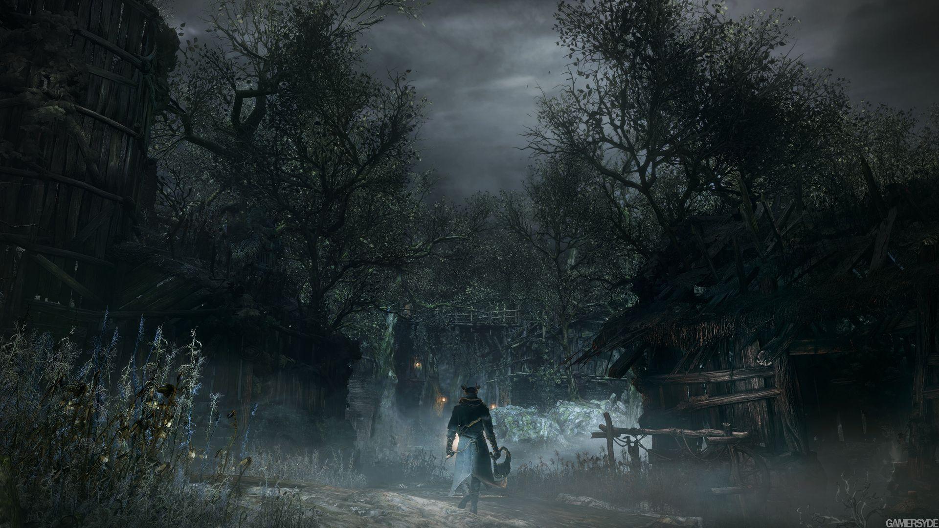 Forest HD Game Wallpaper