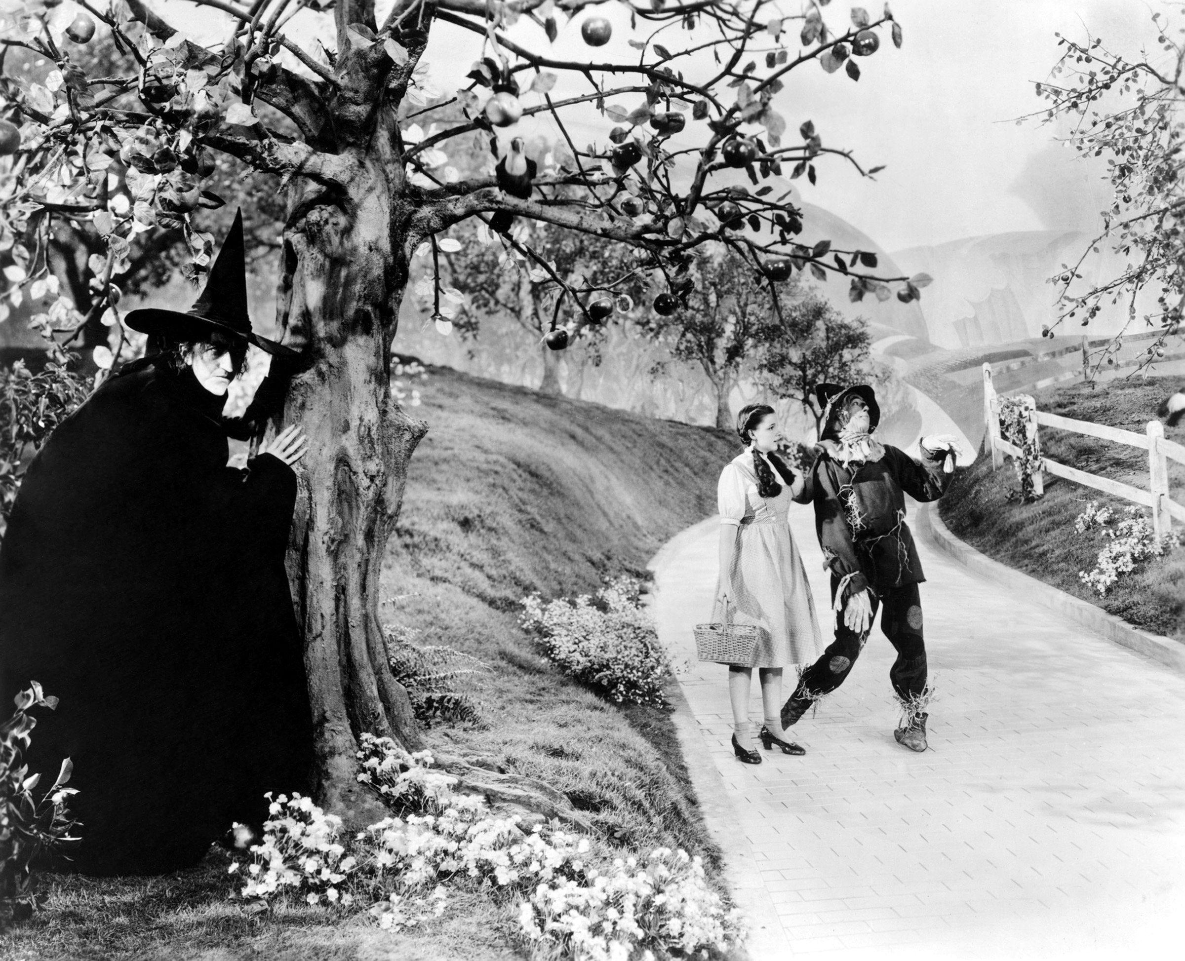 scarecrow wizard of oz grayscale judy garland witches