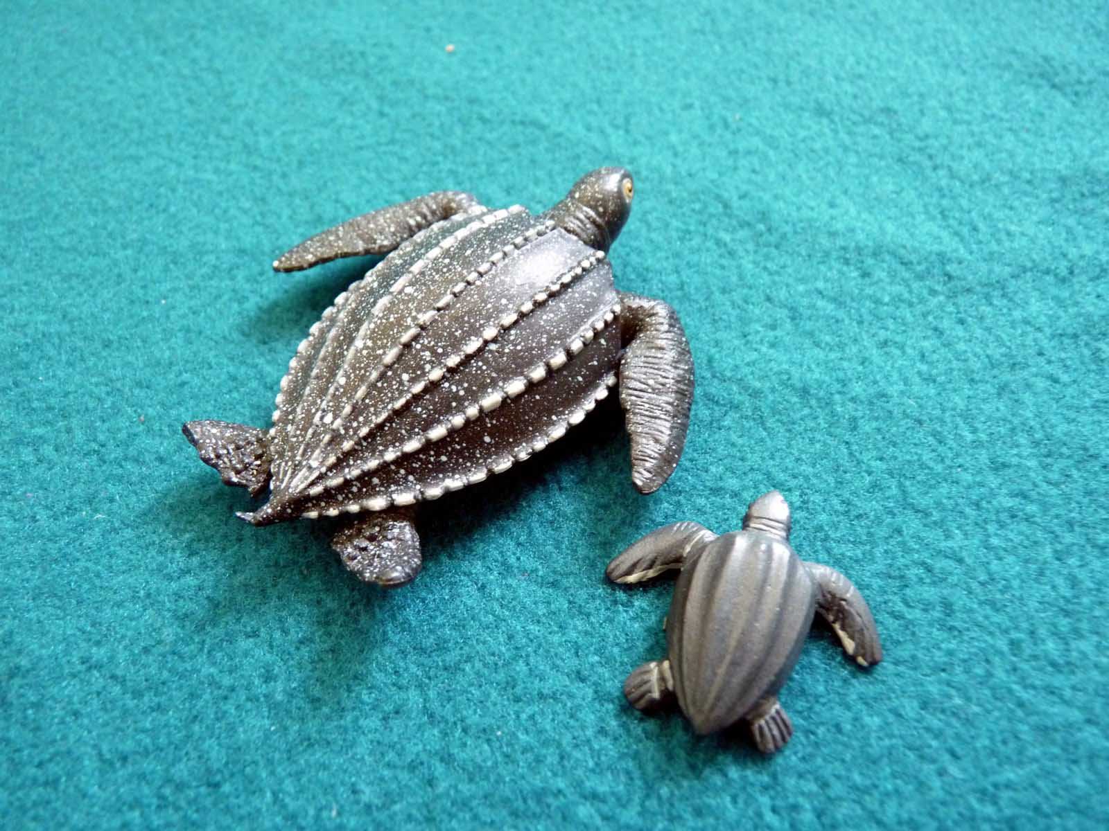 Baby Turtle Wallpaper